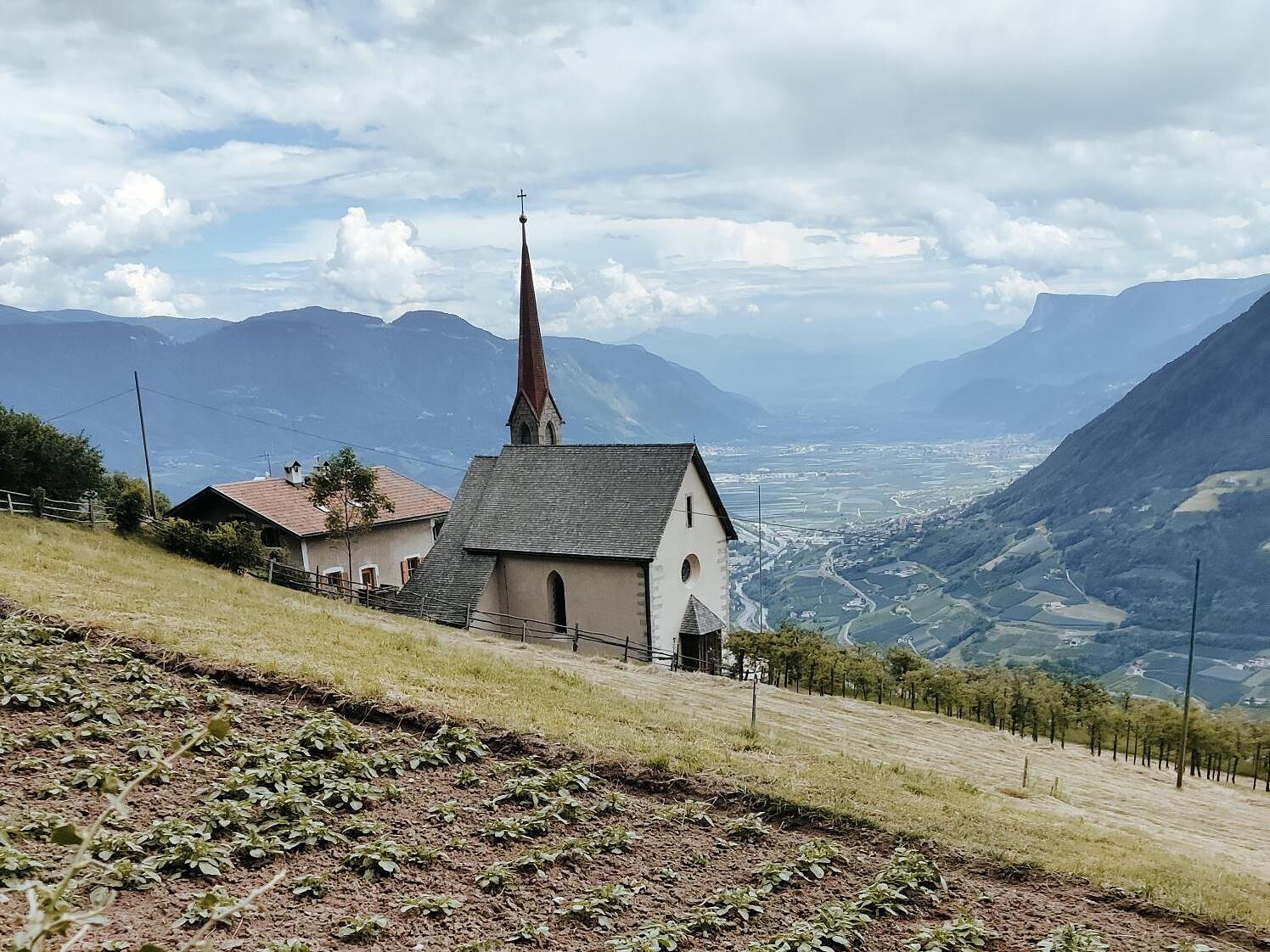 Summer Marktl am Hoferhof - Meran und Umgebung - #2 - suedtirol.info