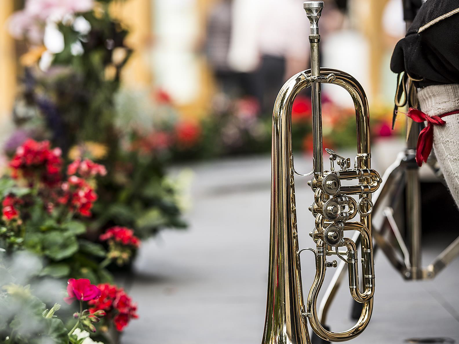 Summer night Event - Brixen/Bressanone and environs - #3 - suedtirol.info