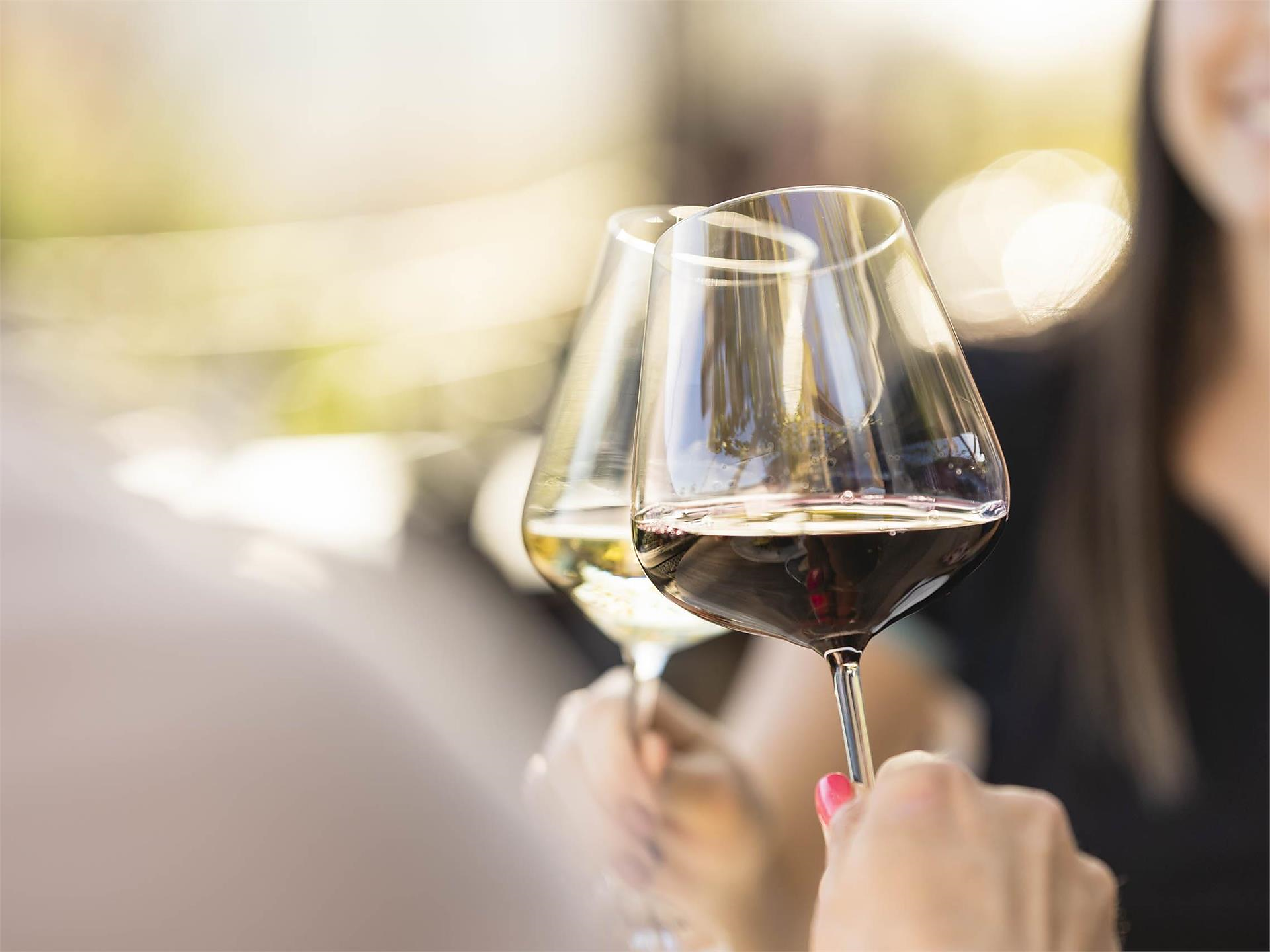 Wine Tasting a Lagundo Lagundo 1 suedtirol.info