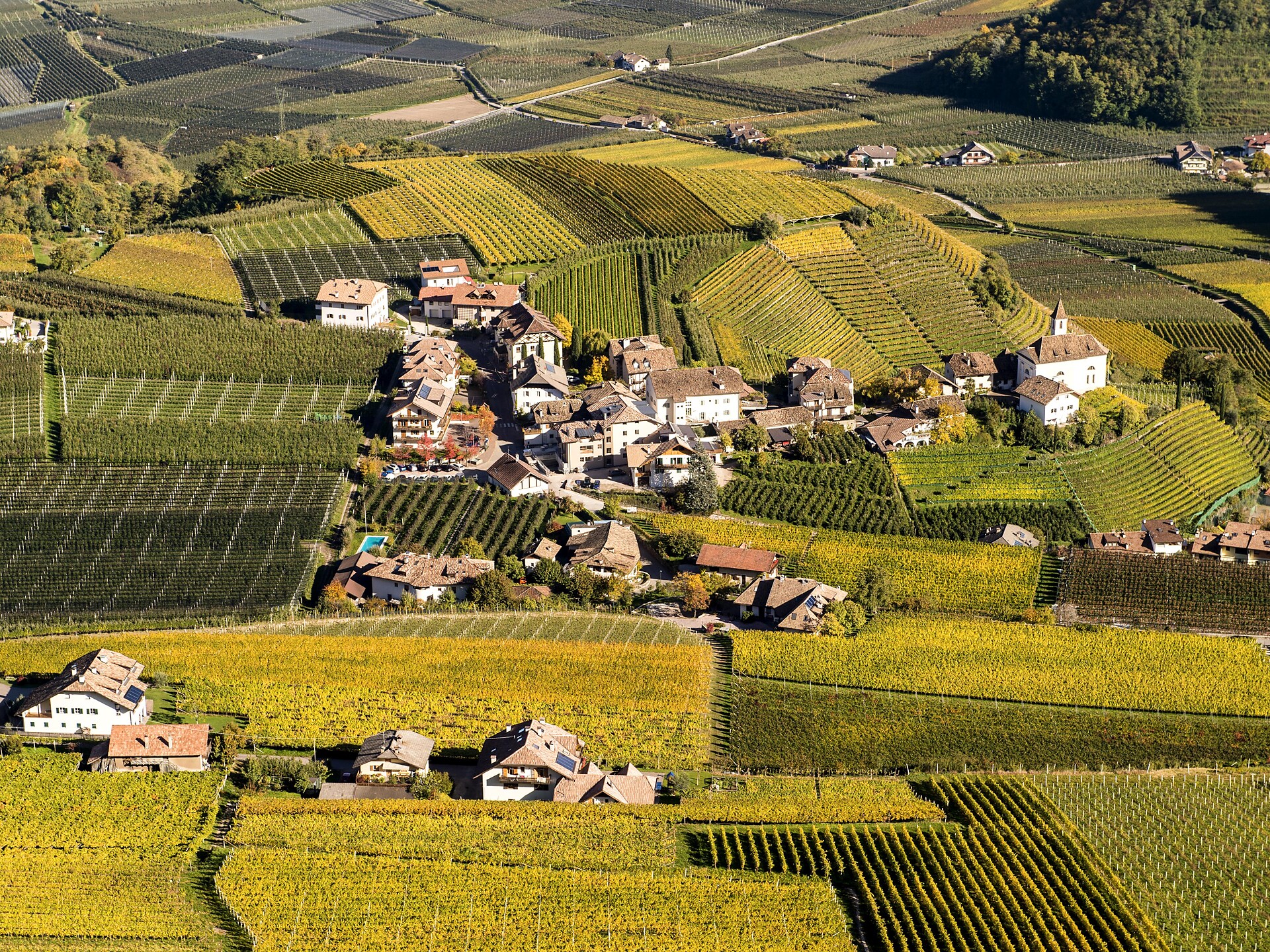 Sommernachtsdinner unter der Missianer Pergel Eppan an der Weinstraße 1 suedtirol.info