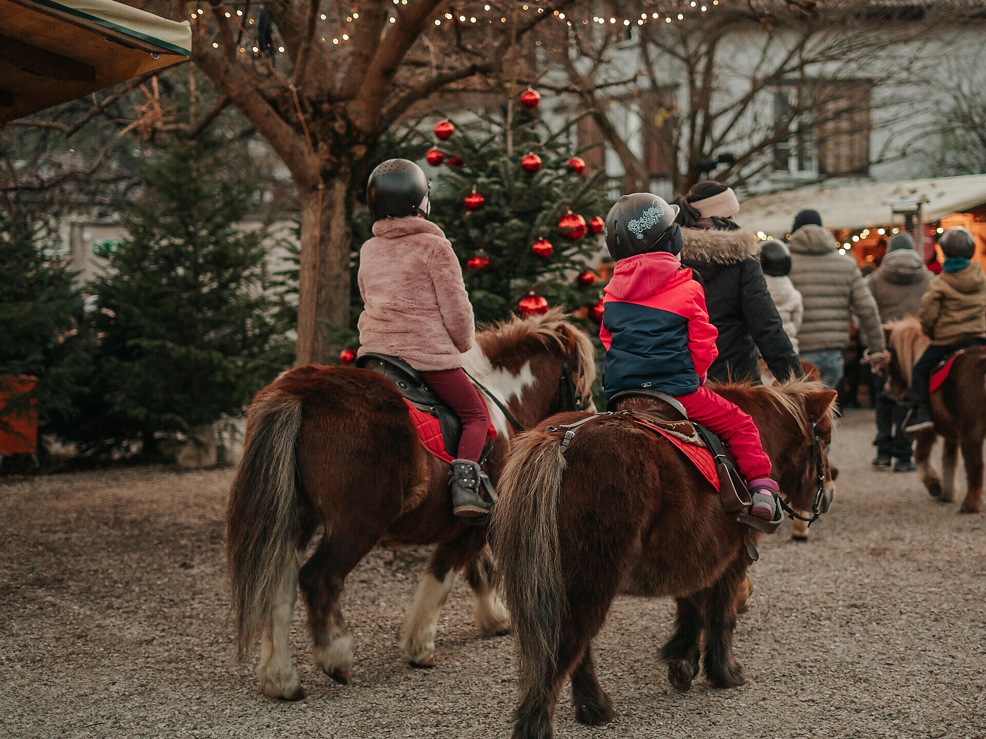 Sterntaler Christmas market - Pony riding for children - Meran/Merano and environs - #1 - suedtirol.info