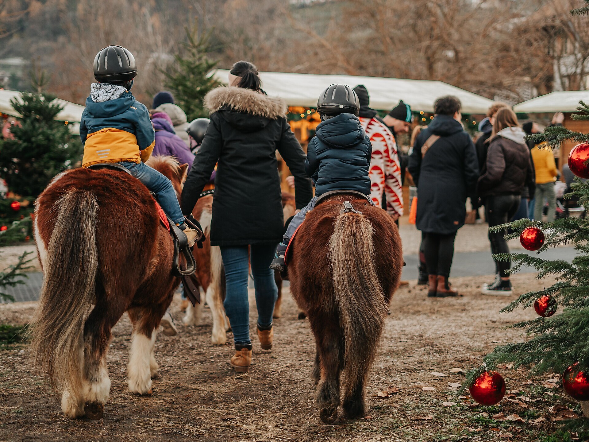Sterntaler Christmas market - Pony riding for children - Meran/Merano and environs - #3 - suedtirol.info