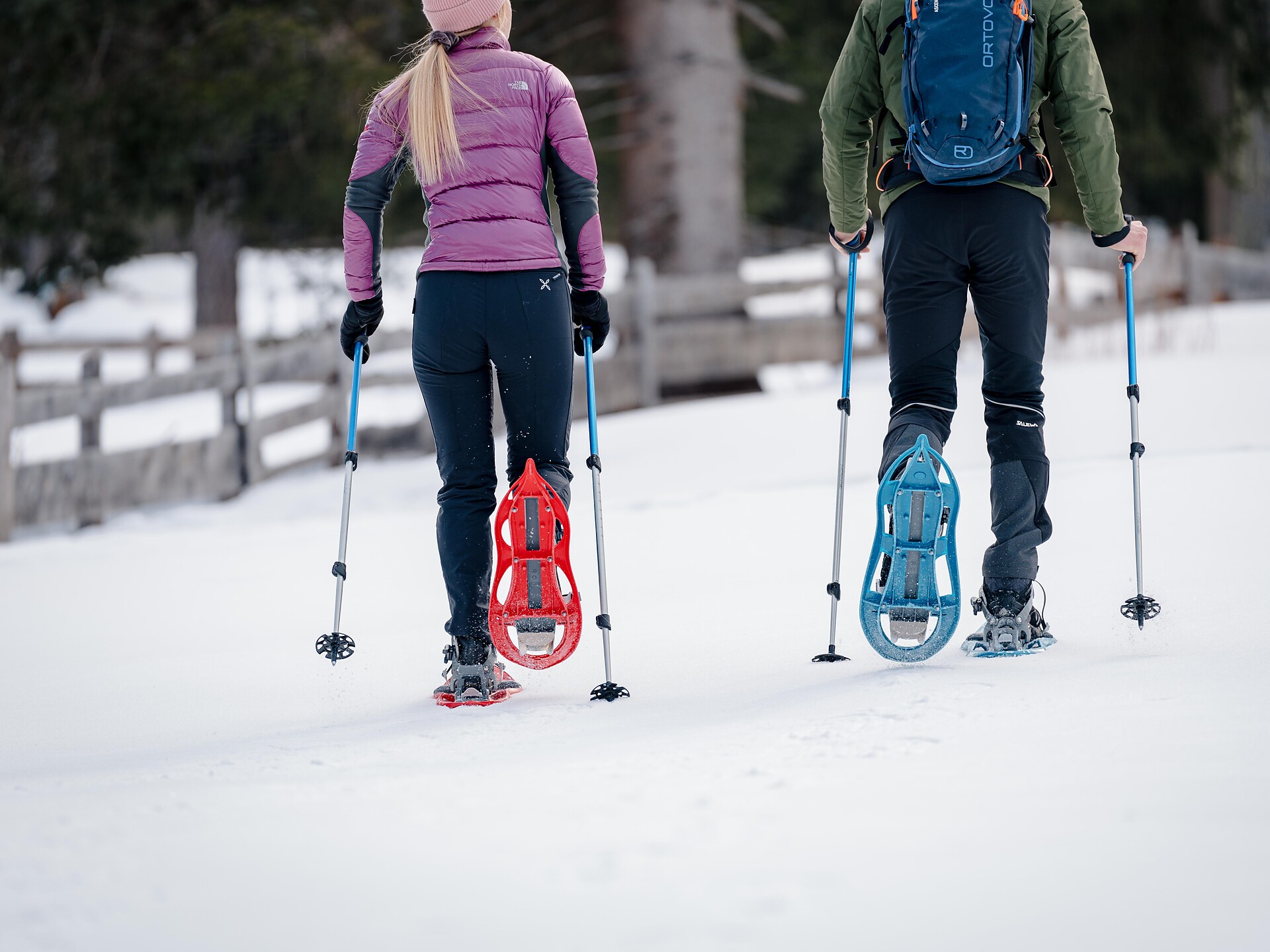 Snowshoe hike with Gilbert - Dolomites Region Kronplatz/Plan de Corones - #1 - suedtirol.info
