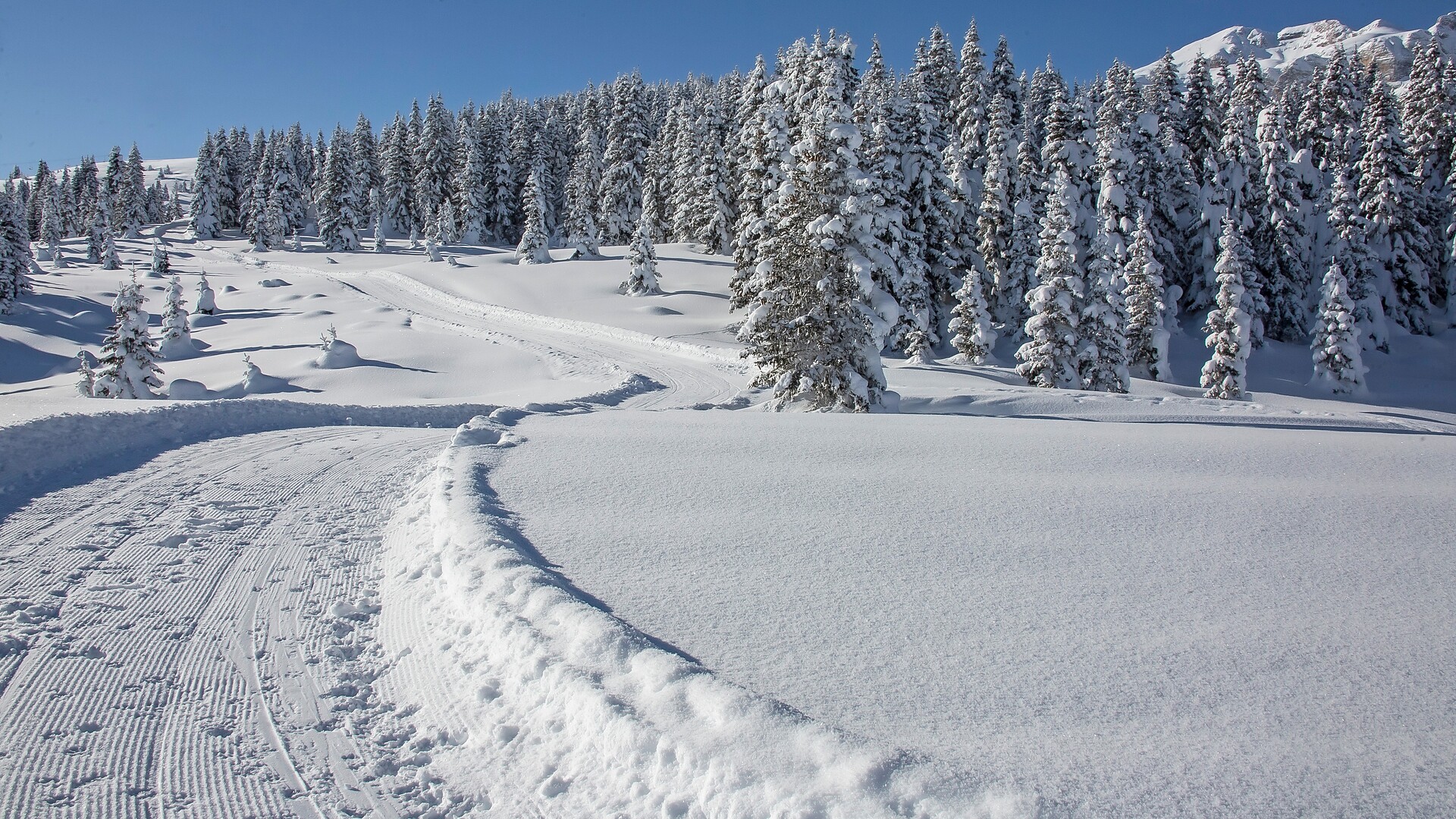 Snow biking Alta Badia - Regione dolomitica Alta Badia - #2 - suedtirol.info