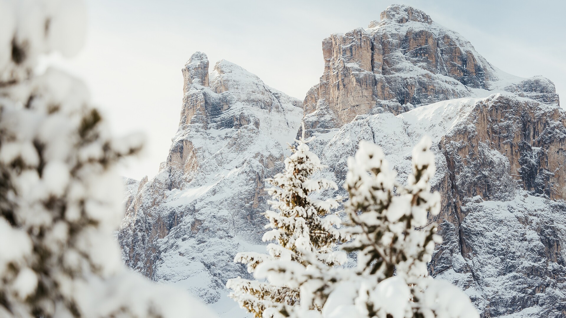 Snow biking Alta Badia - Regione dolomitica Alta Badia - #1 - suedtirol.info