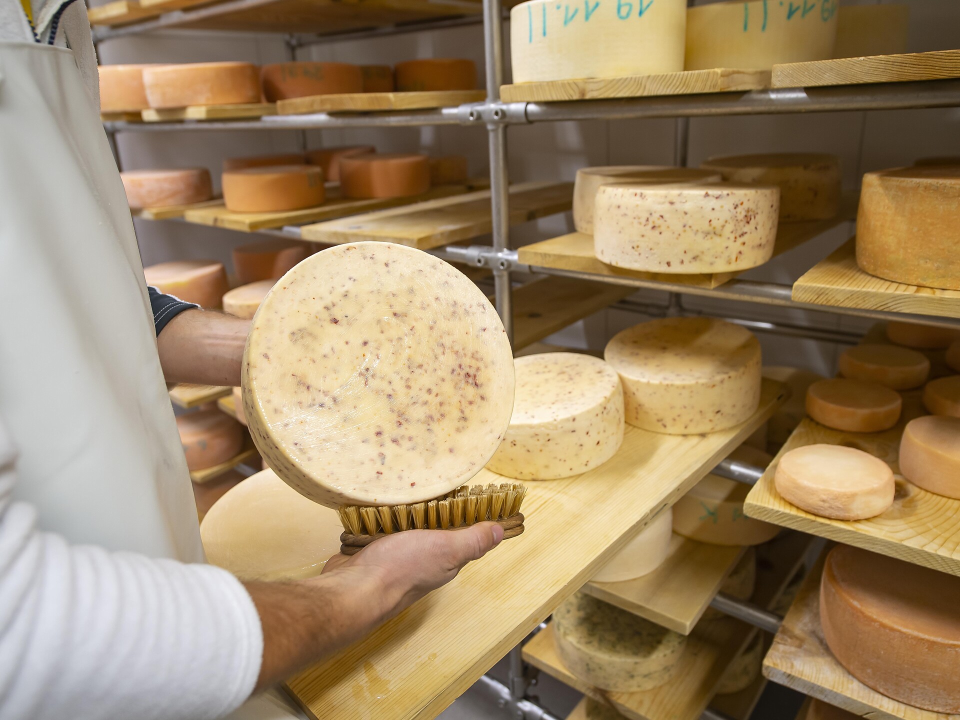 Such a cheese (Psairer Langis) - Meran/Merano and environs - #1 - suedtirol.info