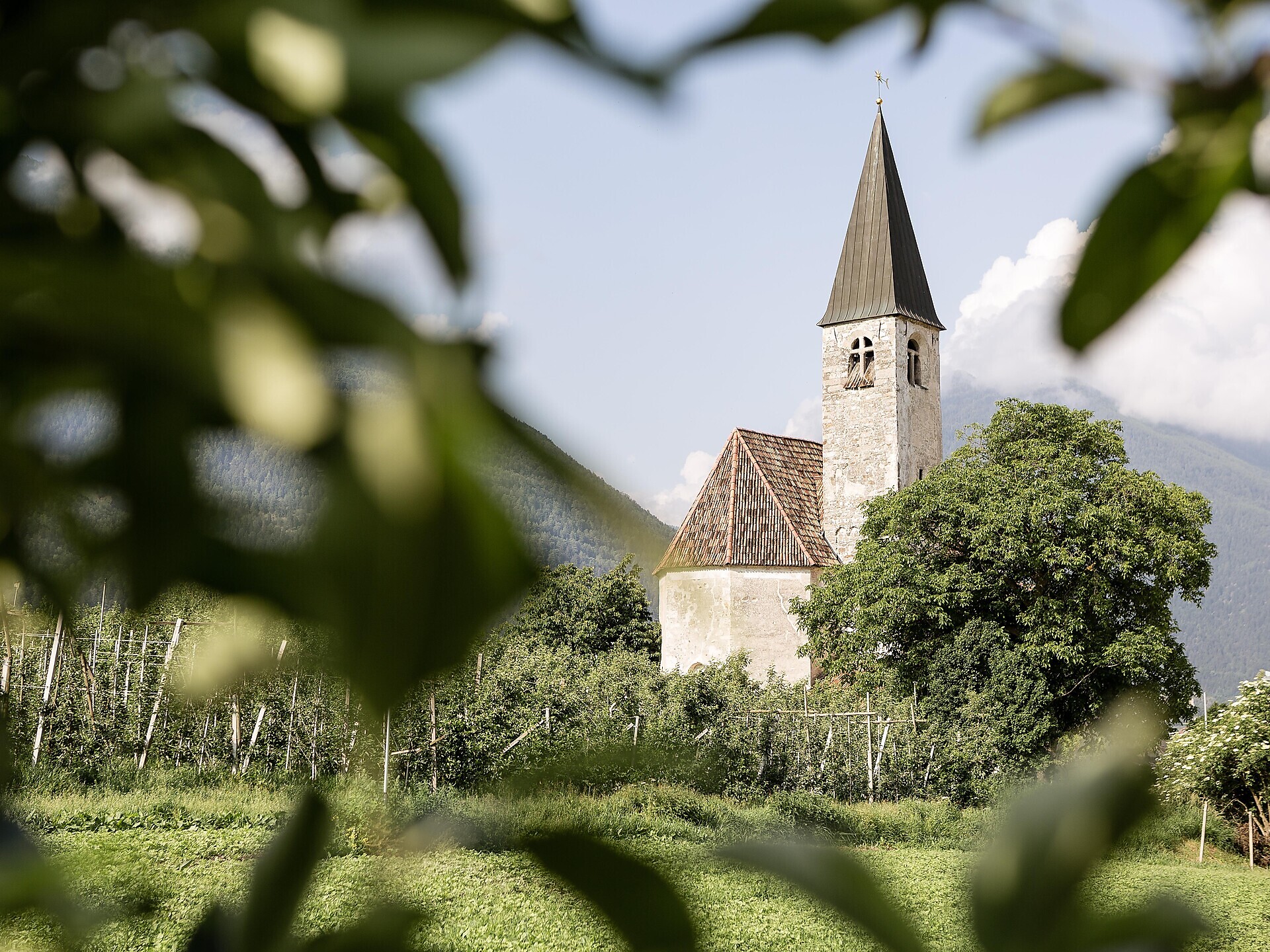 Tage der Romanik der in der Kirche "Unsere Liebe Frau auf dem Bühel" in Latsch - Vinschgau - #1 - suedtirol.info