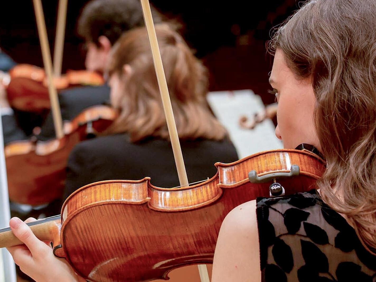 Timeless Sounds of Eggental - Streicher Ensemble des Haydn Orchesters - Dolomitenregion Eggental - #1 - suedtirol.info