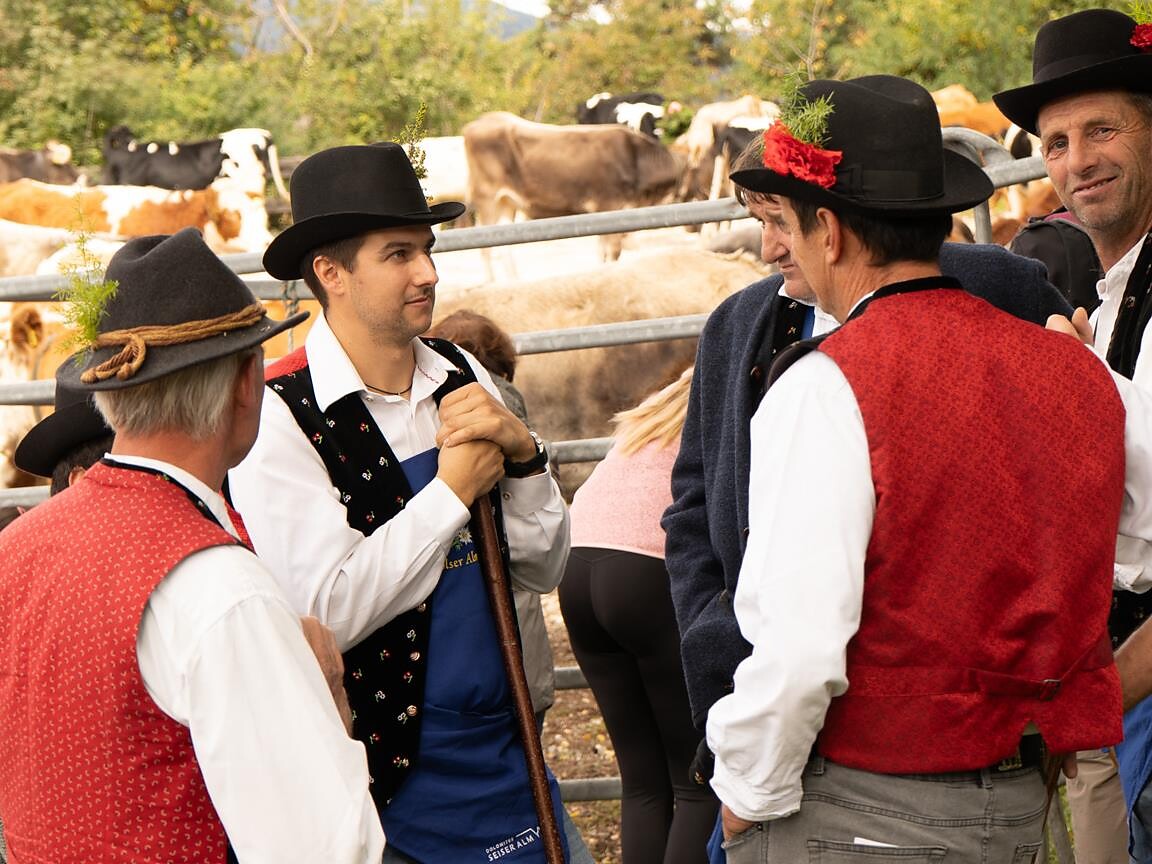 Traditional transhumance Völs am Schlern with feast - Dolomites Region Seiser Alm - #2 - suedtirol.info