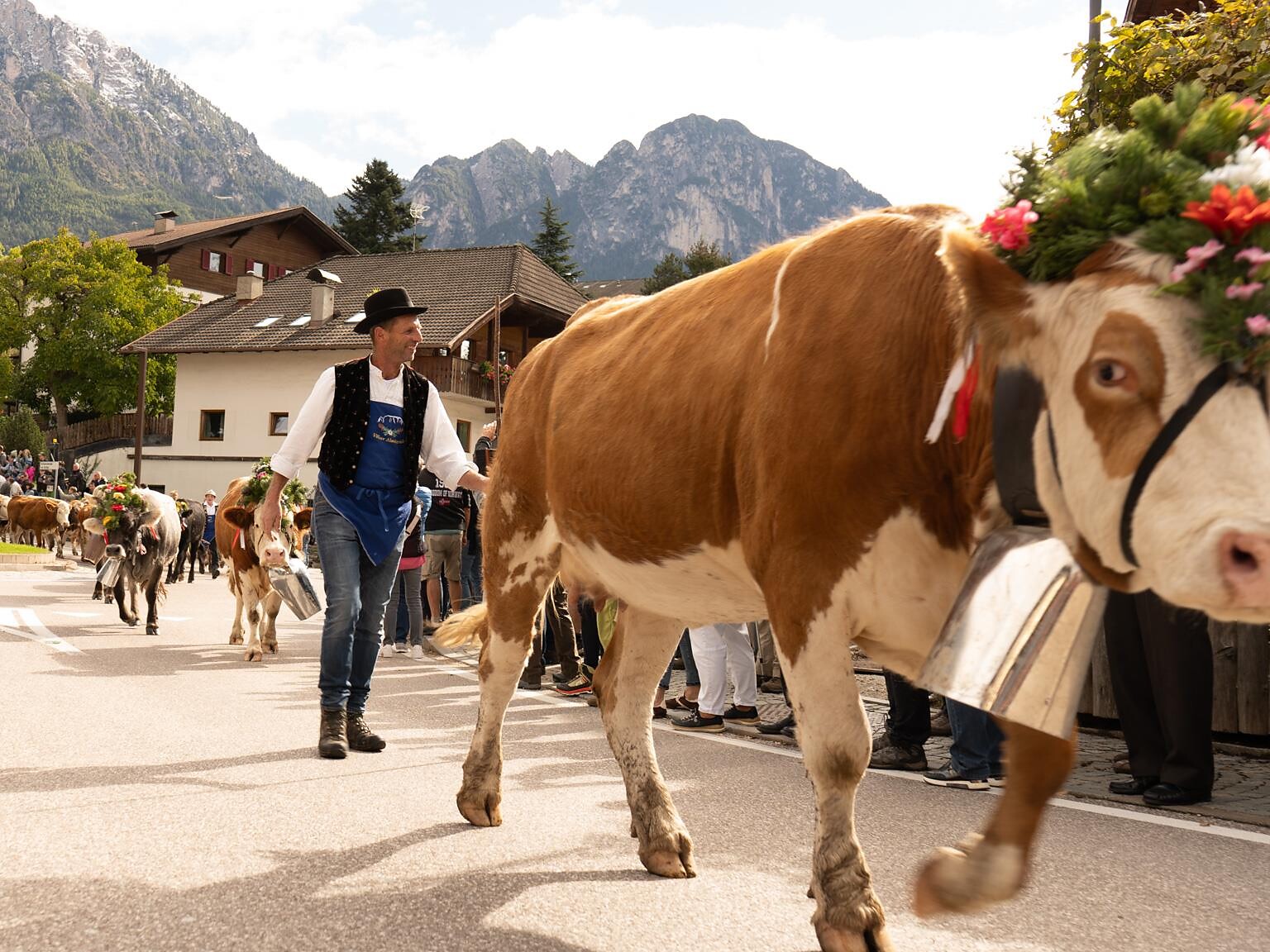 Traditional transhumance Völs am Schlern with feast - Dolomites Region Seiser Alm - #1 - suedtirol.info