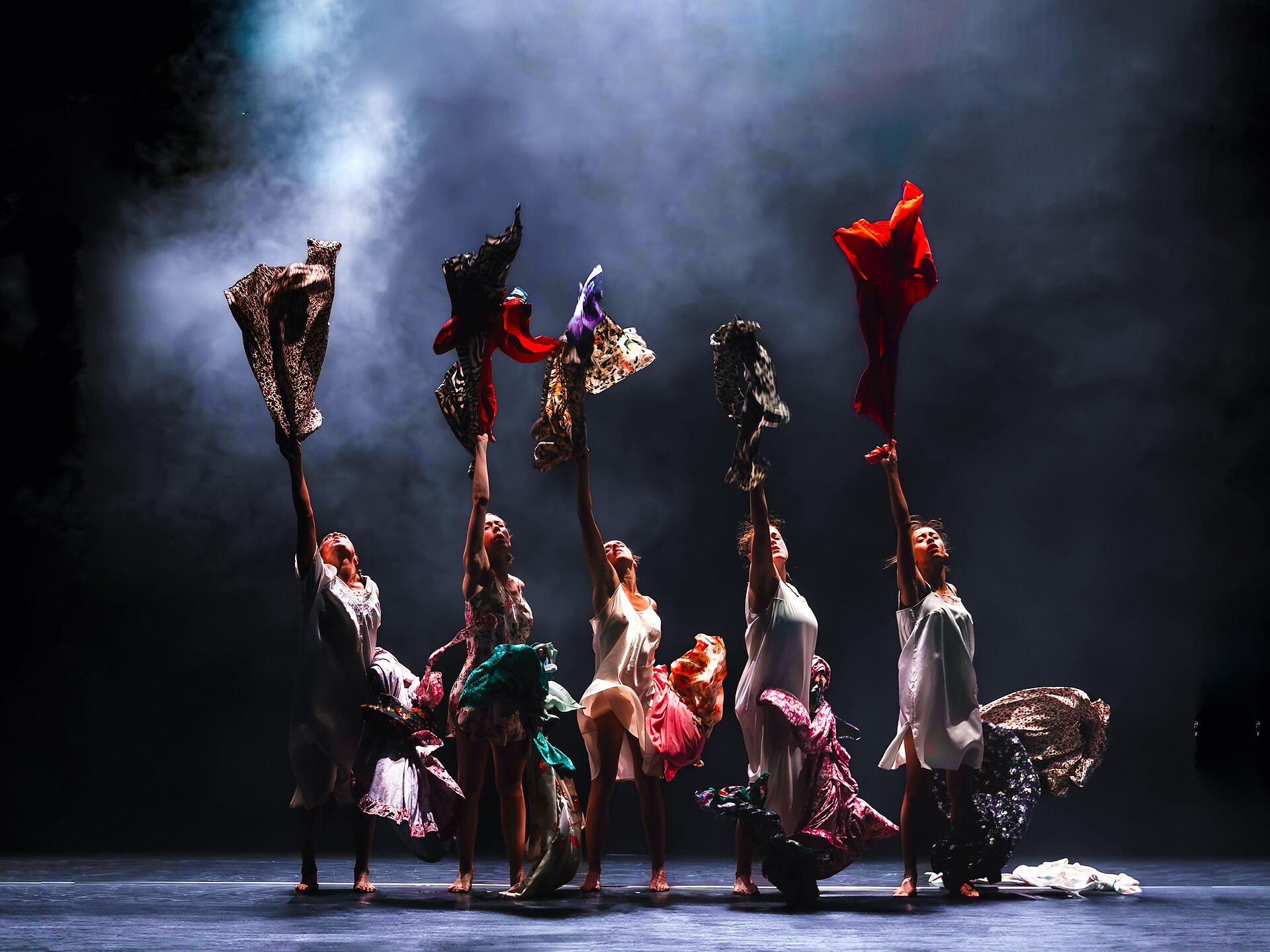 Bolzano Danza 2026 - Compagnie Leïla Ka - Bolzano/Bozen and environs - #1 - suedtirol.info