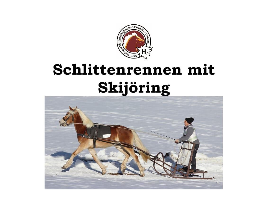 Horses Sleigh Races and Skijöring - Bolzano/Bozen and environs - #1 - suedtirol.info