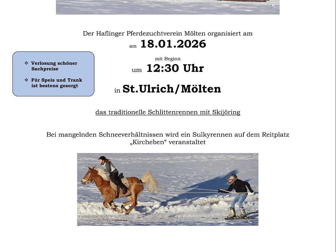 Horses Sleigh Races and Skijöring - Bolzano/Bozen and environs - #2 - suedtirol.info