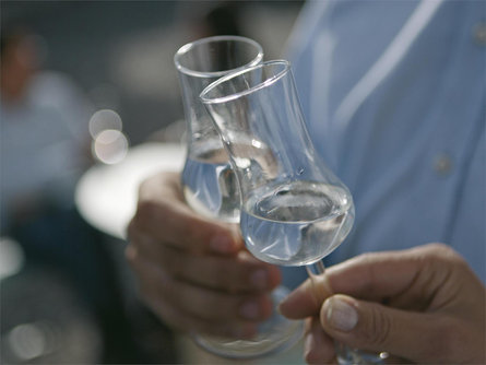 The Iceman Gin-Guida e degustazione alla distilleria "Weberhof" Castelbello-Ciardes 3 suedtirol.info