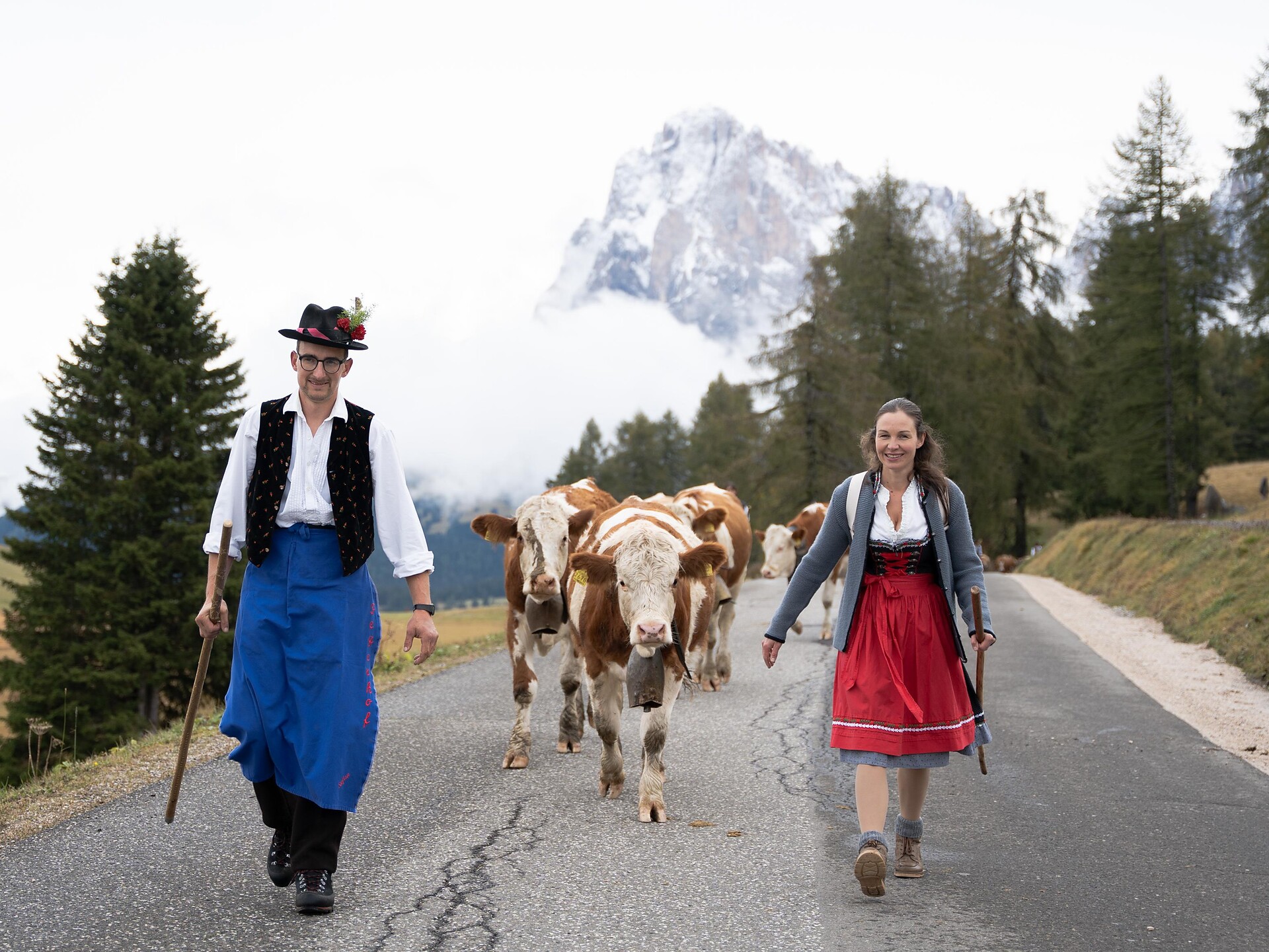 Traditional transhumance Seiser Alm - Dolomites Region Seiser Alm - #3 - suedtirol.info
