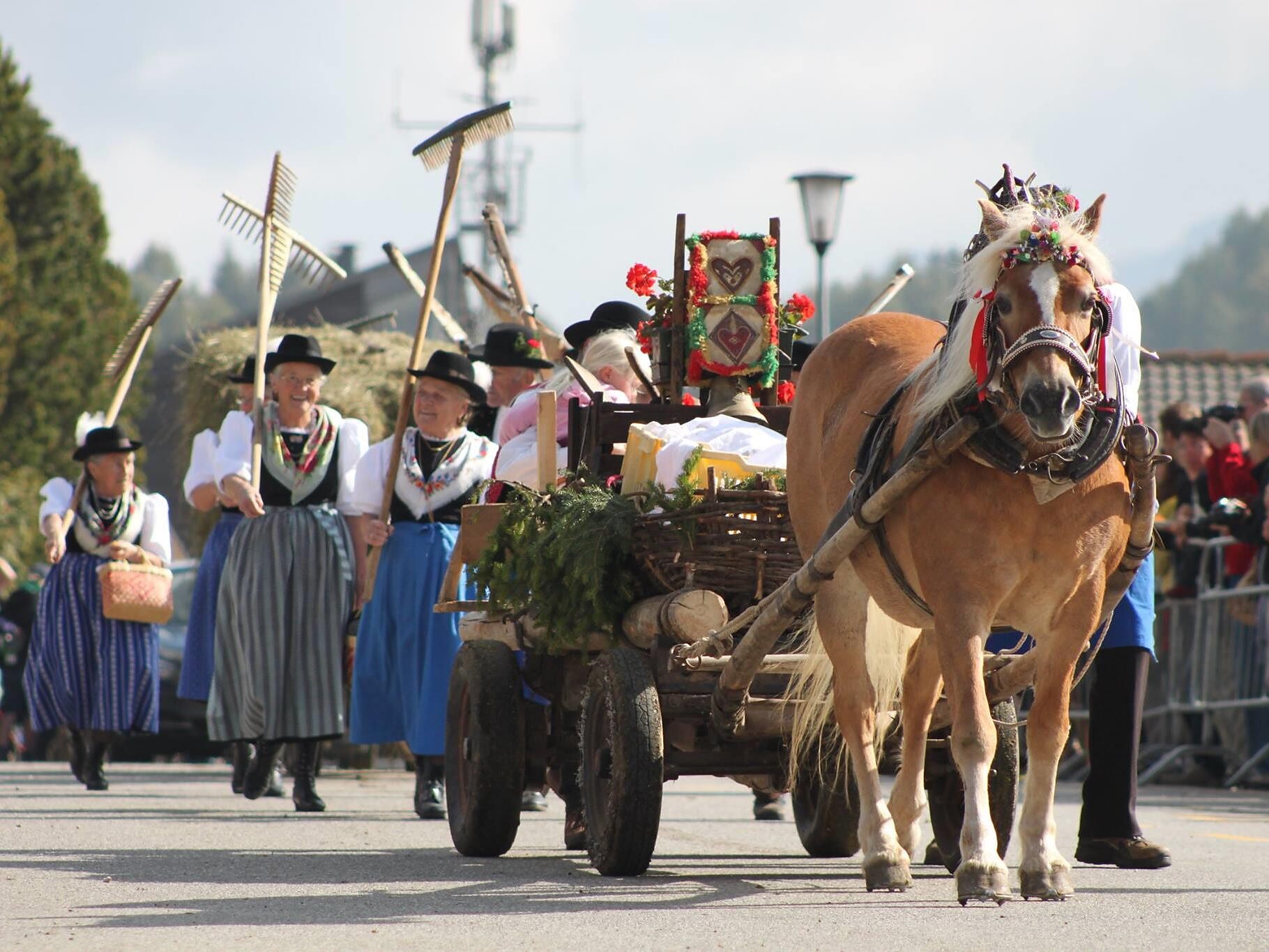 Traditional transhumance Seiser Alm - Dolomites Region Seiser Alm - #2 - suedtirol.info