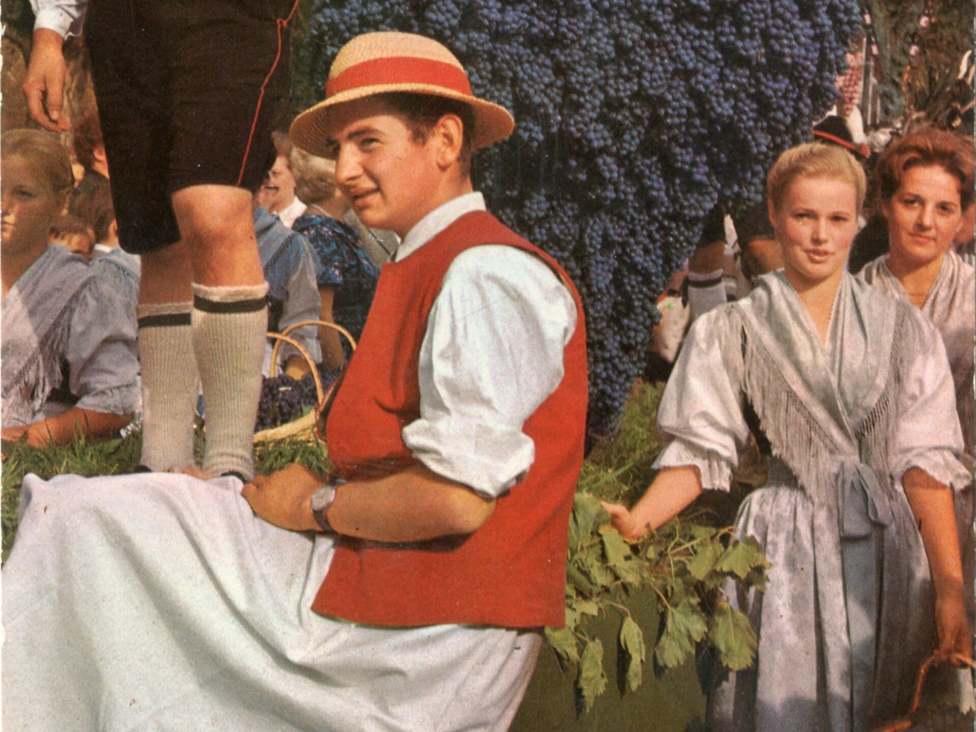 Festa dell'Uva - tradizione in movimento - Merano e dintorni - #1 - suedtirol.info