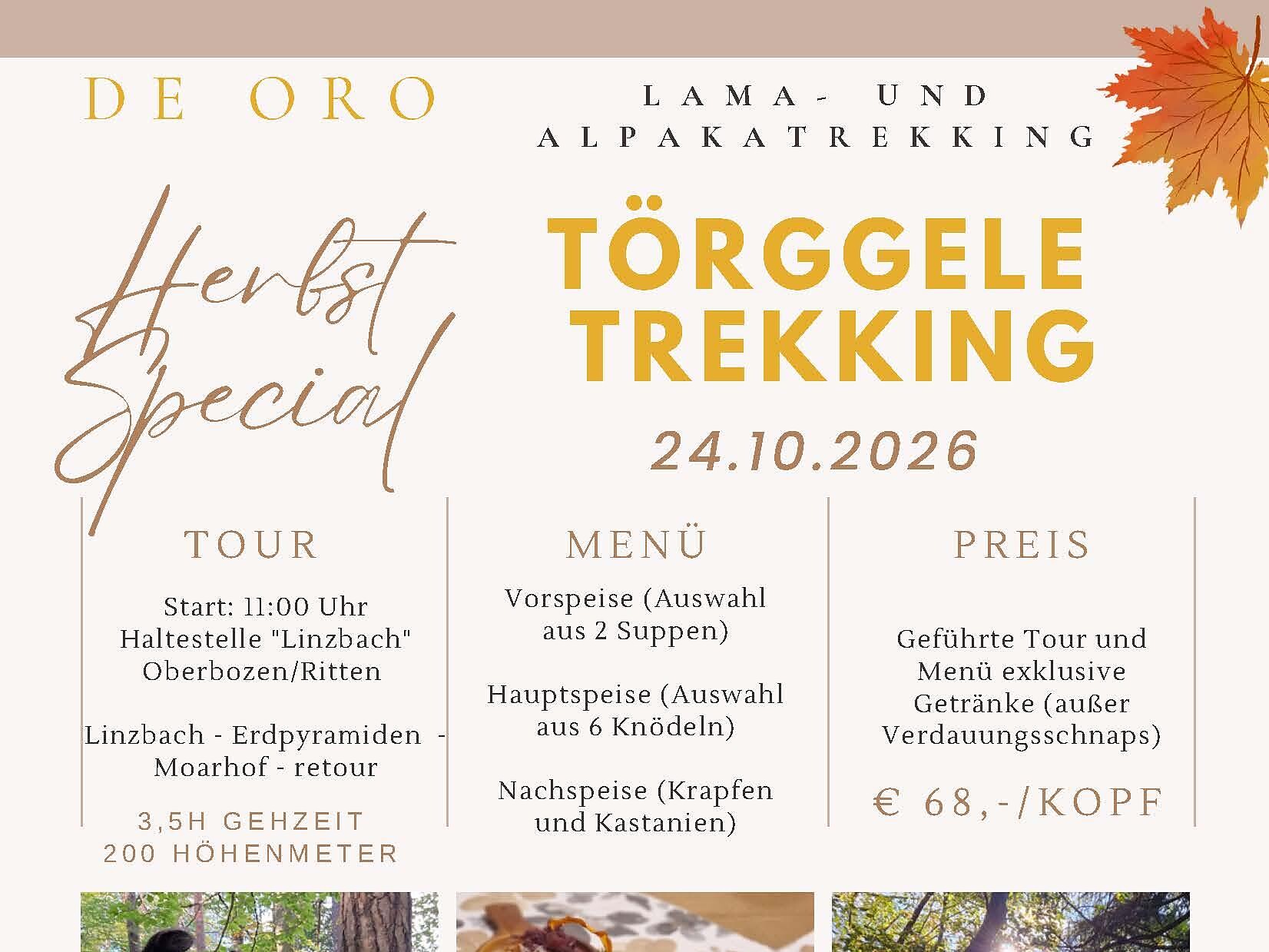 Törggele Lama- und Alpakatrekking - Bozen und Umgebung - #1 - suedtirol.info