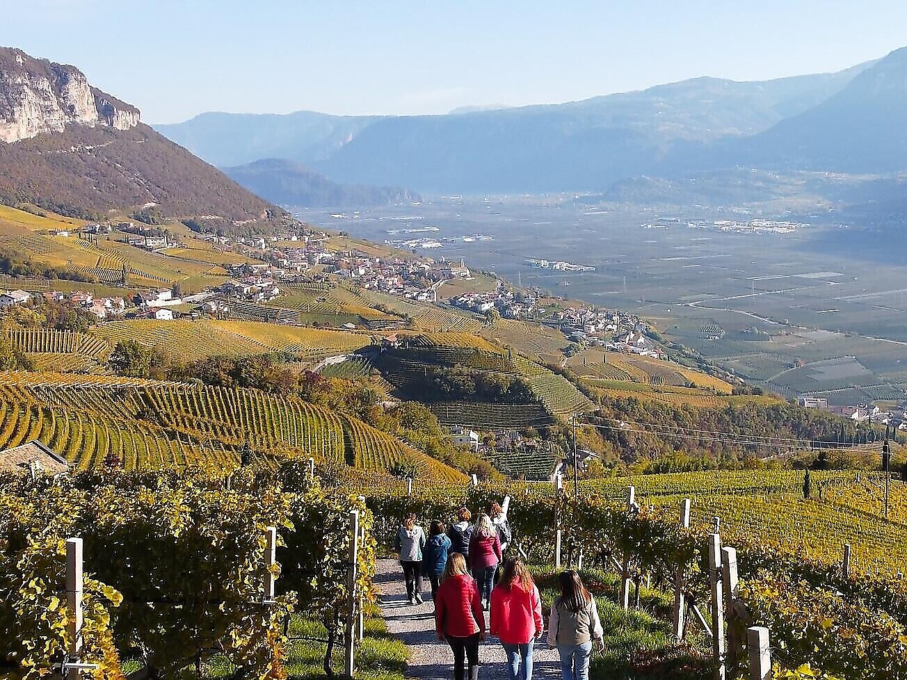 TerrAromen- Weinexpedition GeoVino - Südtiroler Weinstraße - #3 - suedtirol.info