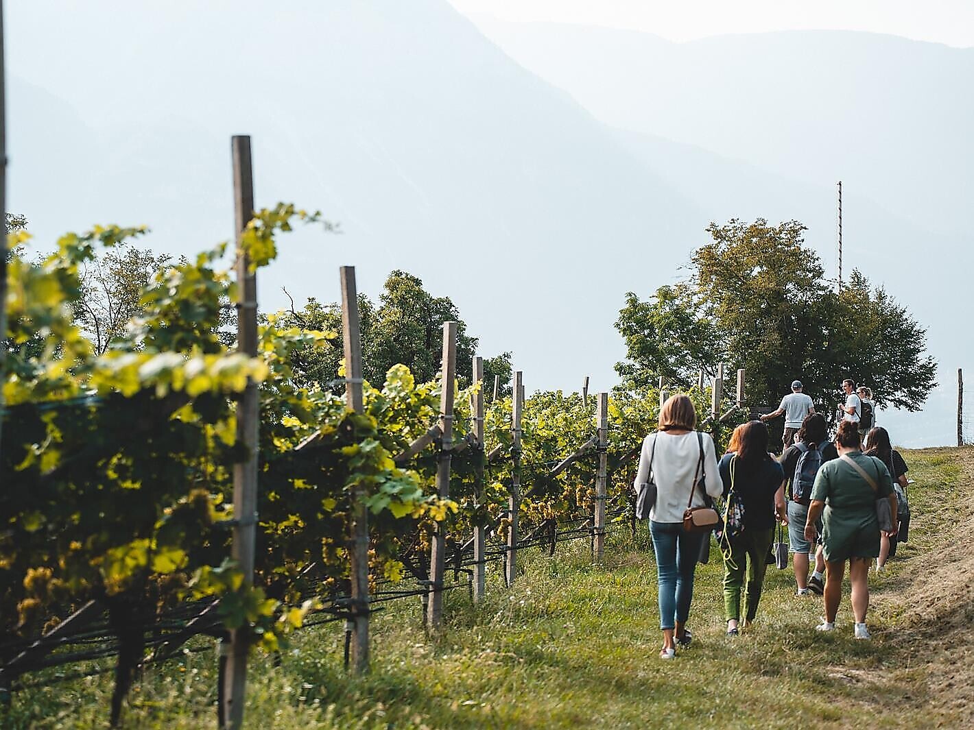 TerrAromen- Weinexpedition GeoVino - Südtiroler Weinstraße - #1 - suedtirol.info