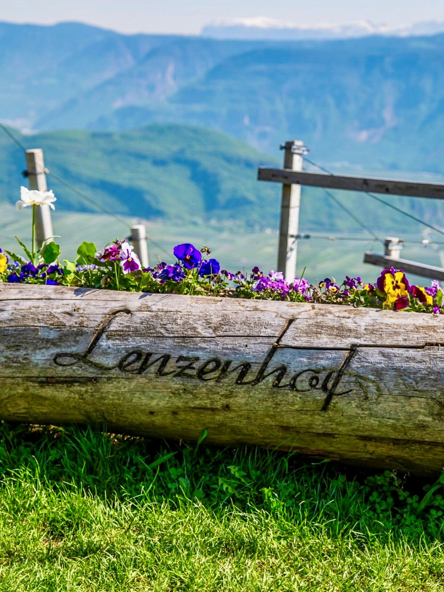 TerrAromen: Degustazione di Müller Thurgau - Strada del Vino - #2 - suedtirol.info