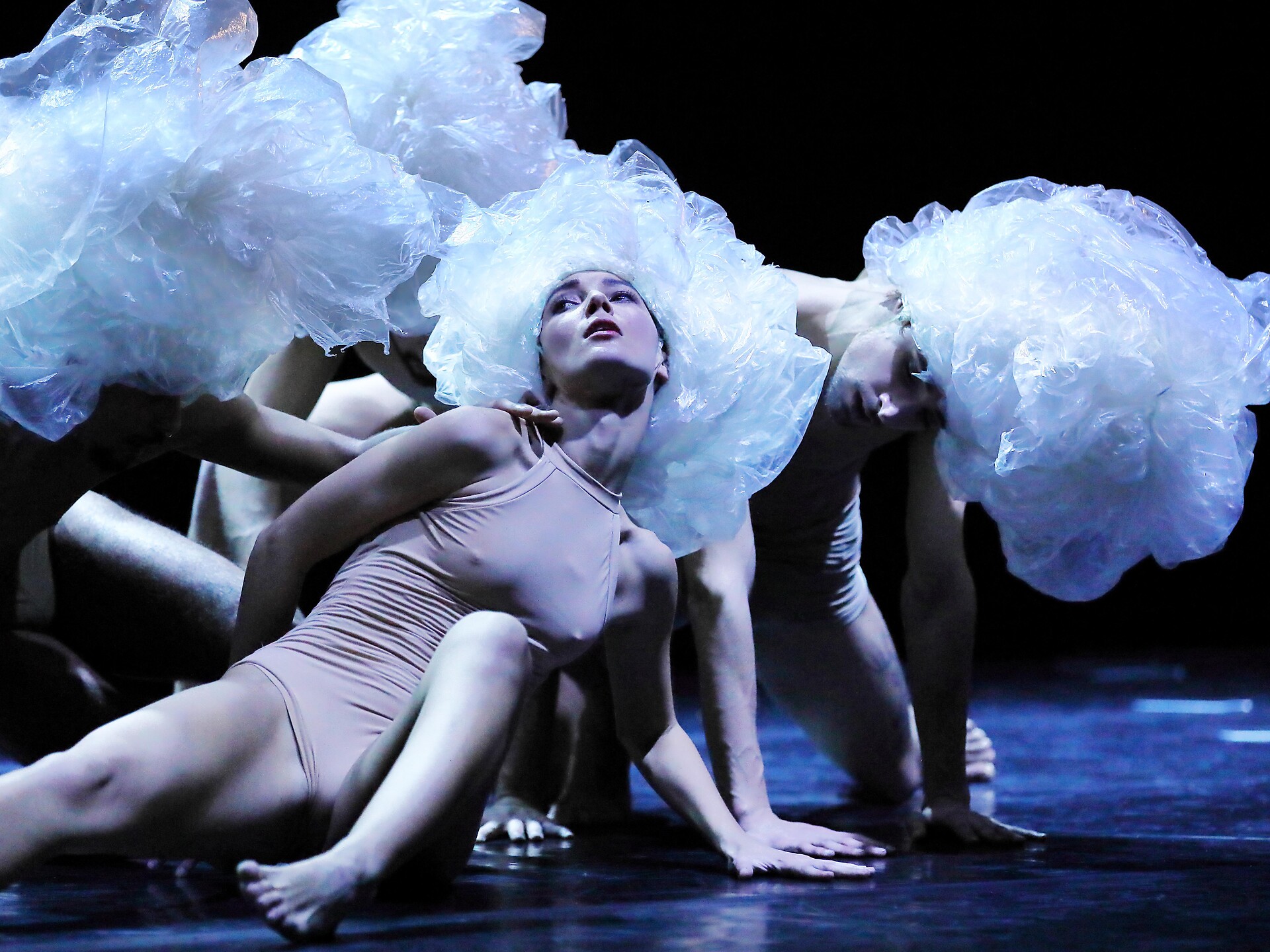 Teatro Stabile di Bolzano: "LE QUATTRO STAGIONI" (Tanzaufführung) - Sterzing und Umgebung - #1 - suedtirol.info