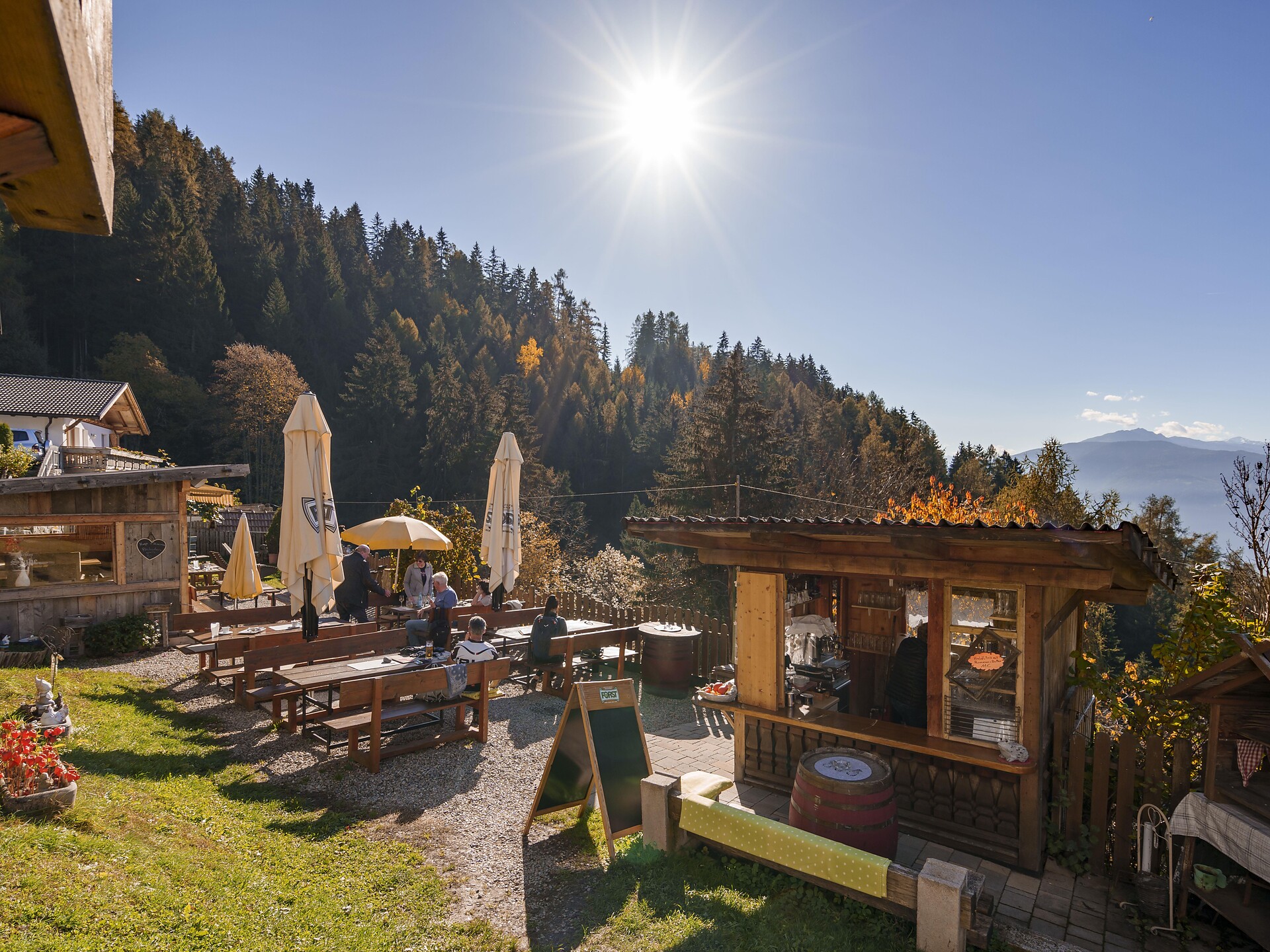 Guided "Törggele"-hike: discovering an ancient South Tyrolean tradition Schenna/Scena 1 suedtirol.info
