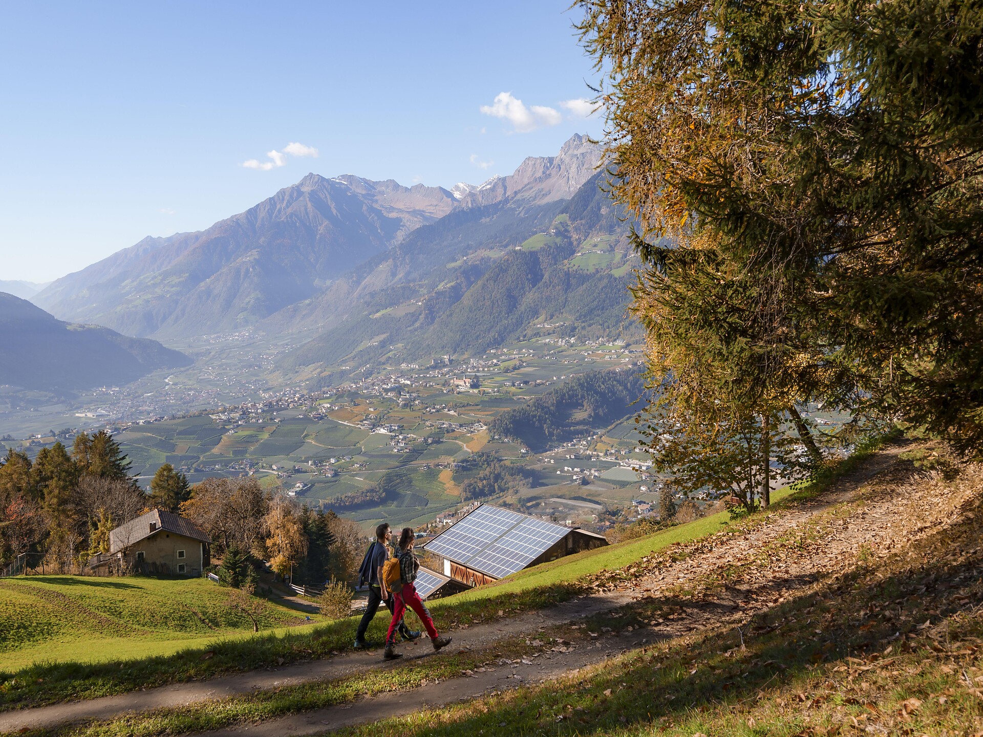 Guided "Törggele"-hike: discovering an ancient South Tyrolean tradition Schenna/Scena 2 suedtirol.info