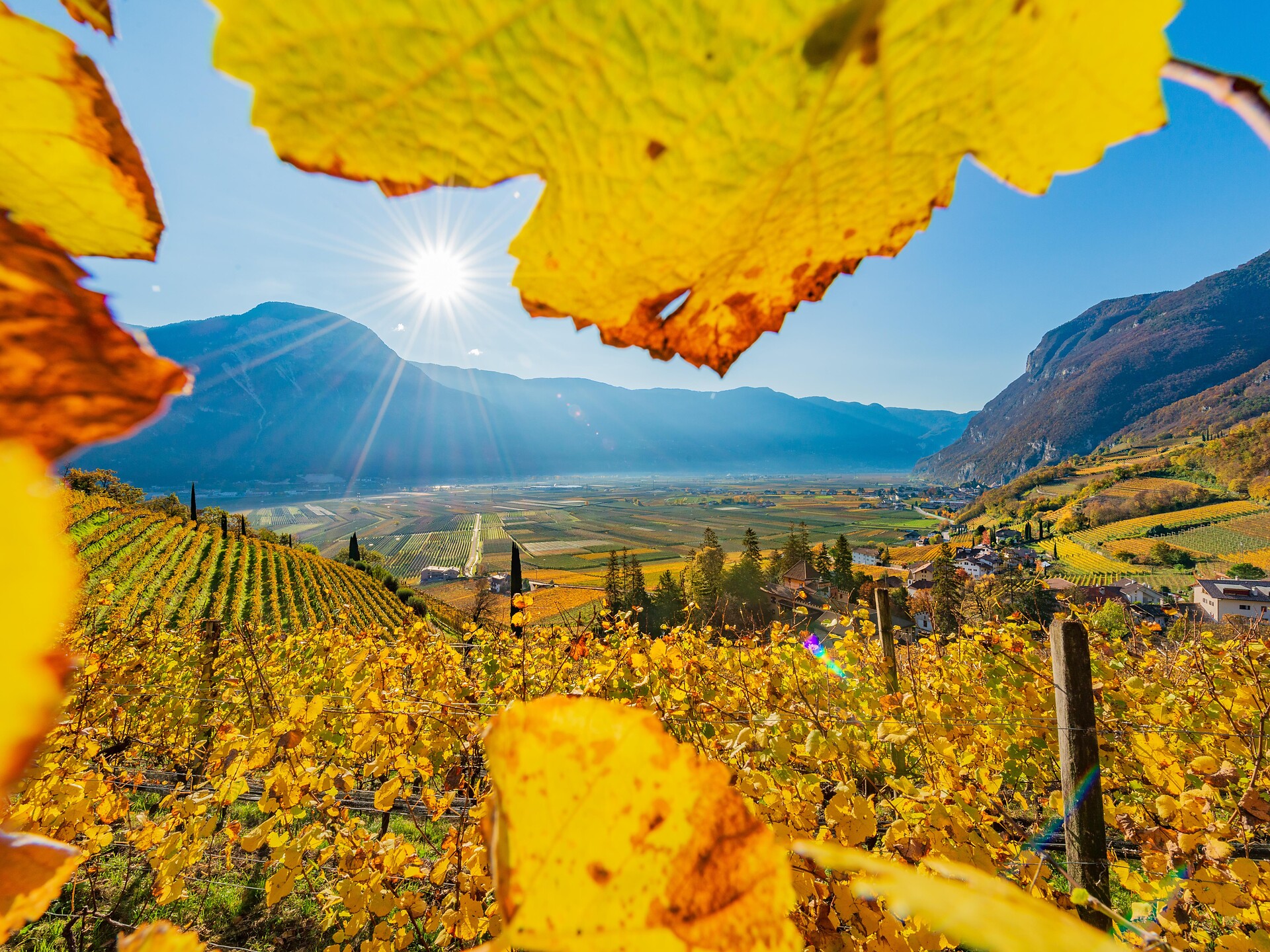 TerrAromen - Il gusto dell´autunno dorato. - Strada del Vino - #3 - suedtirol.info