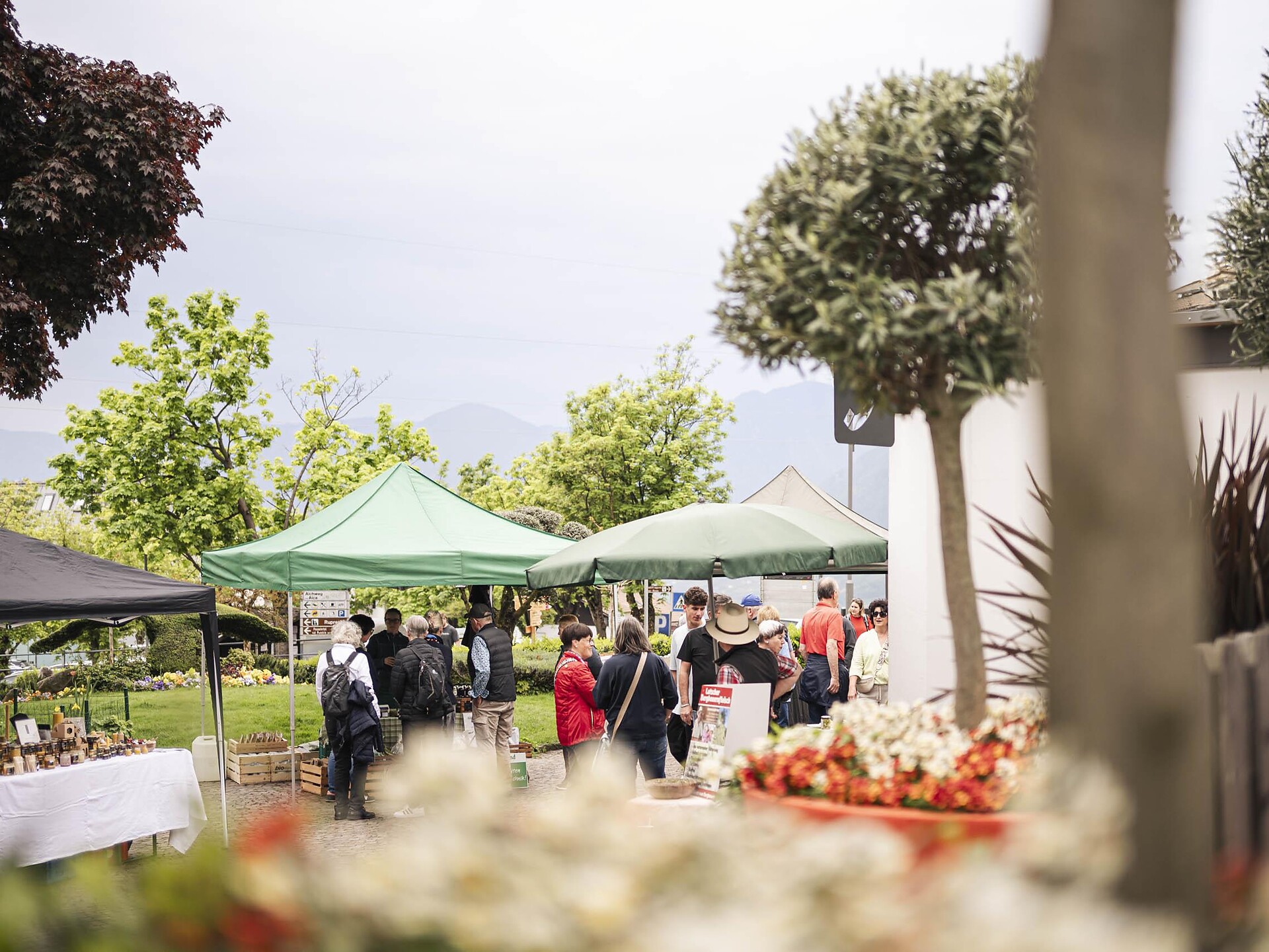 Tiroler Genuss-Platzl - Meran und Umgebung - #1 - suedtirol.info