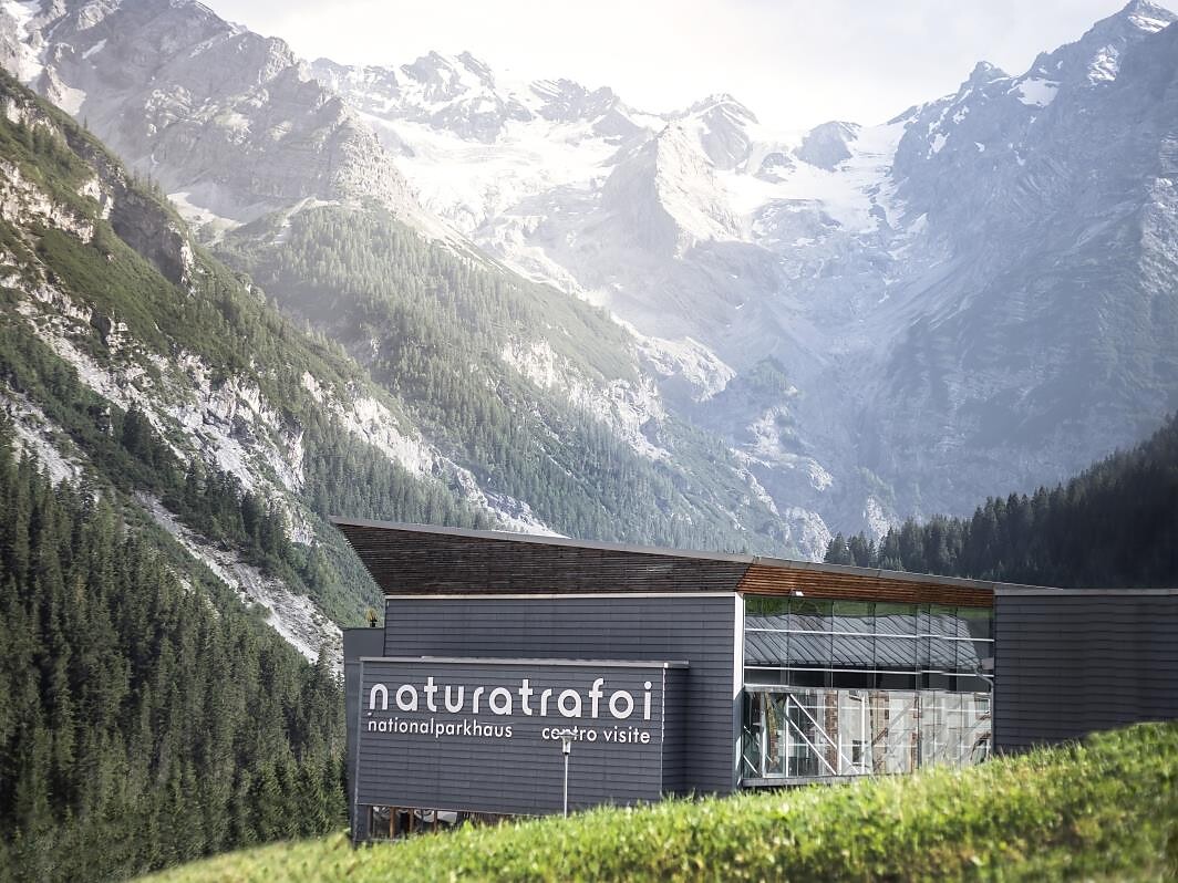 Clever in the mountains - Guided tour Stilfs/Stelvio 3 suedtirol.info