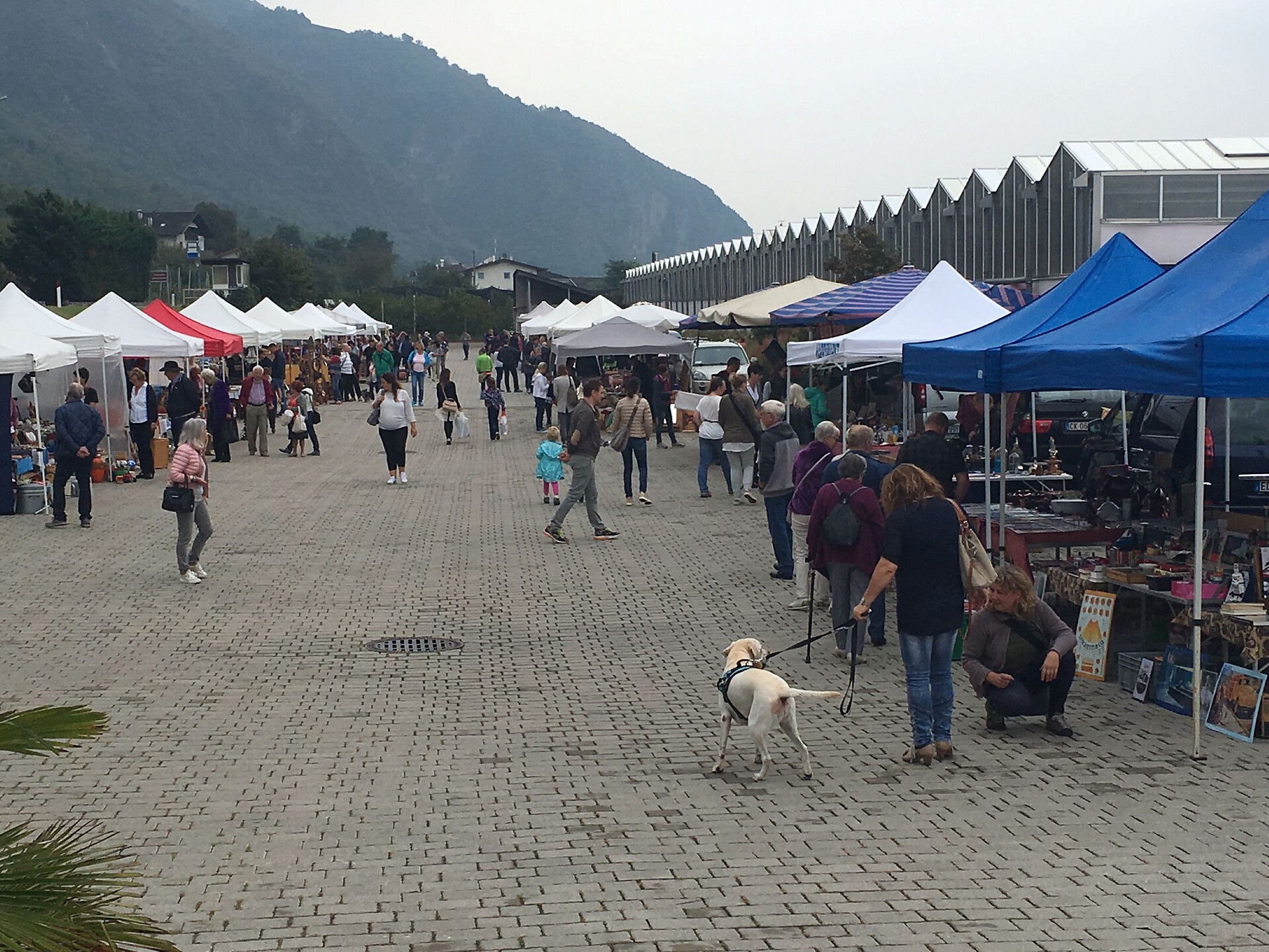 Mercatino delle pulci del Raffeiner Orchideenwelt - Merano e dintorni - #2 - suedtirol.info
