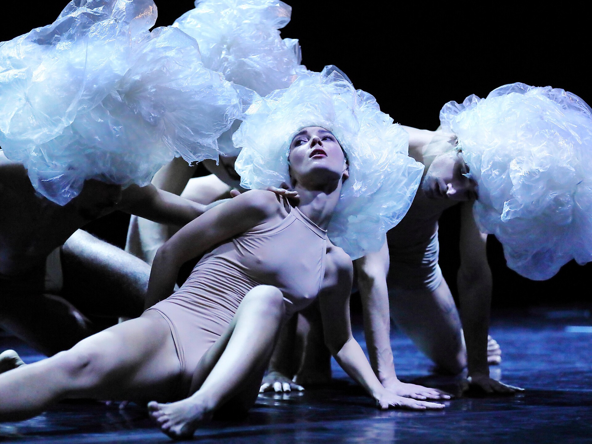 LE QUATTRO STAGIONI (DANZA) - Merano e dintorni - #1 - suedtirol.info
