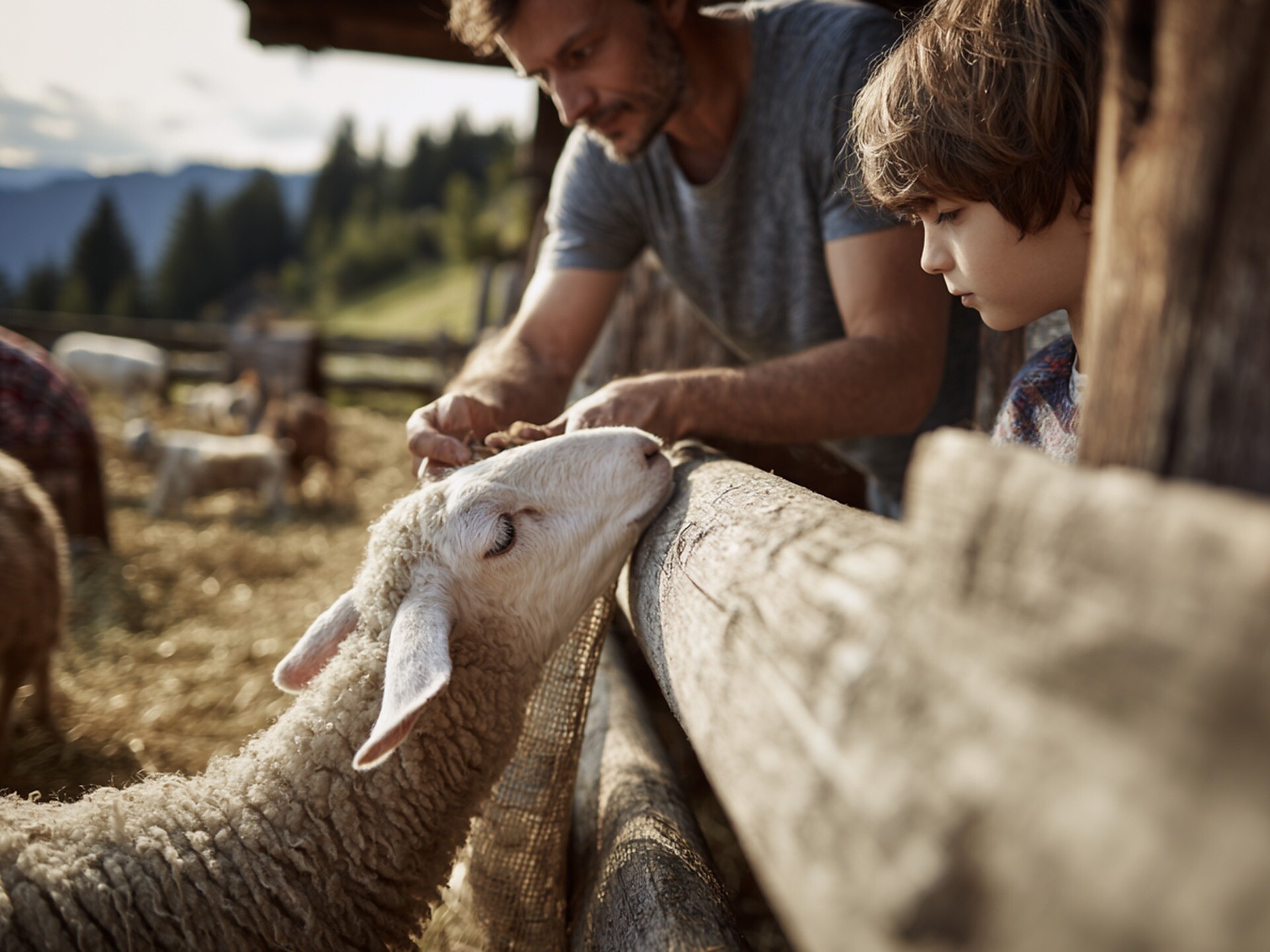 Animals, Barn & Warm Hearts - Vinschgau/Val Venosta - #1 - suedtirol.info