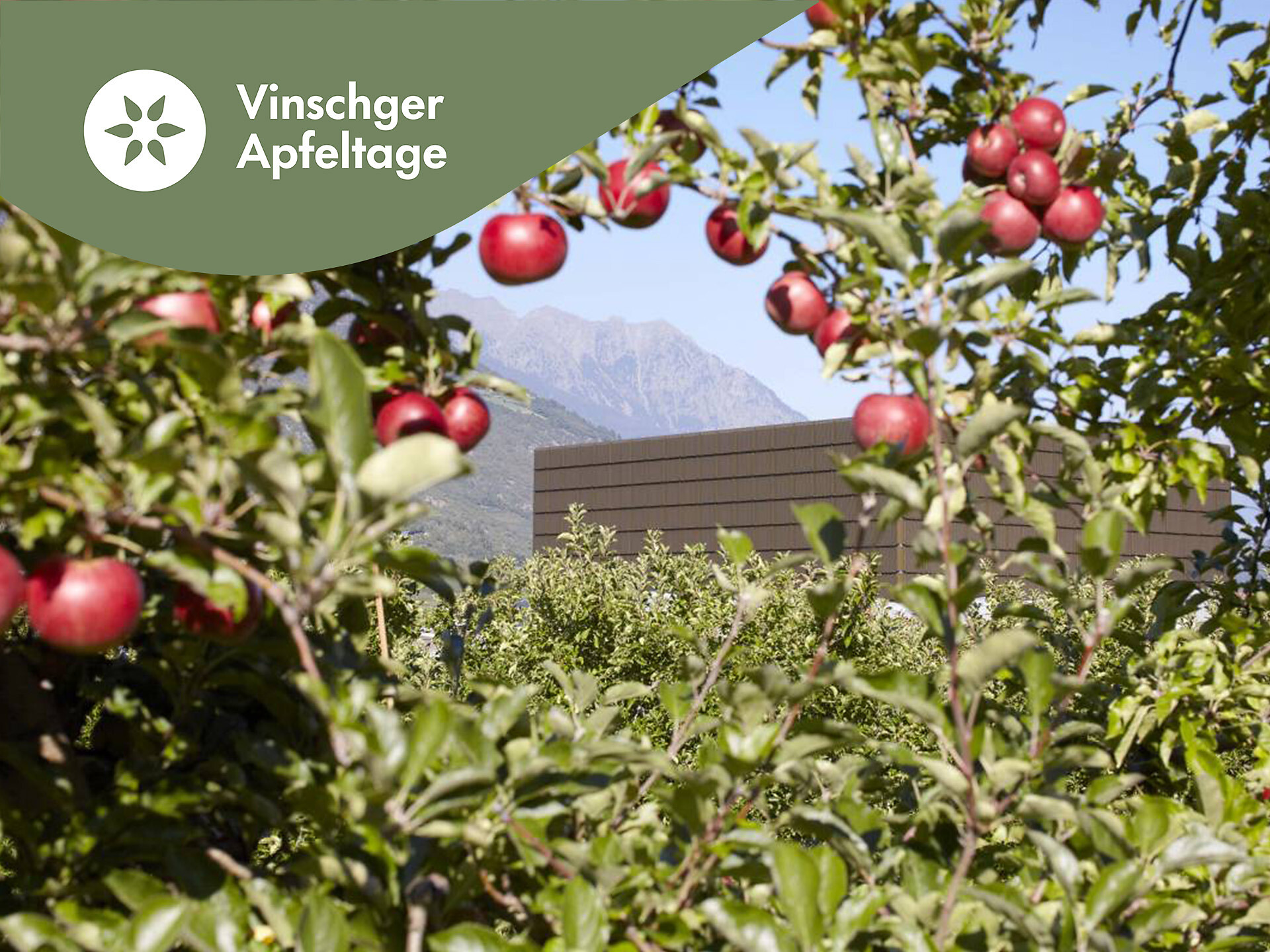 Tag der Offenen Tür in der Obstgenossenschaft Texel - Meran und Umgebung - #1 - suedtirol.info