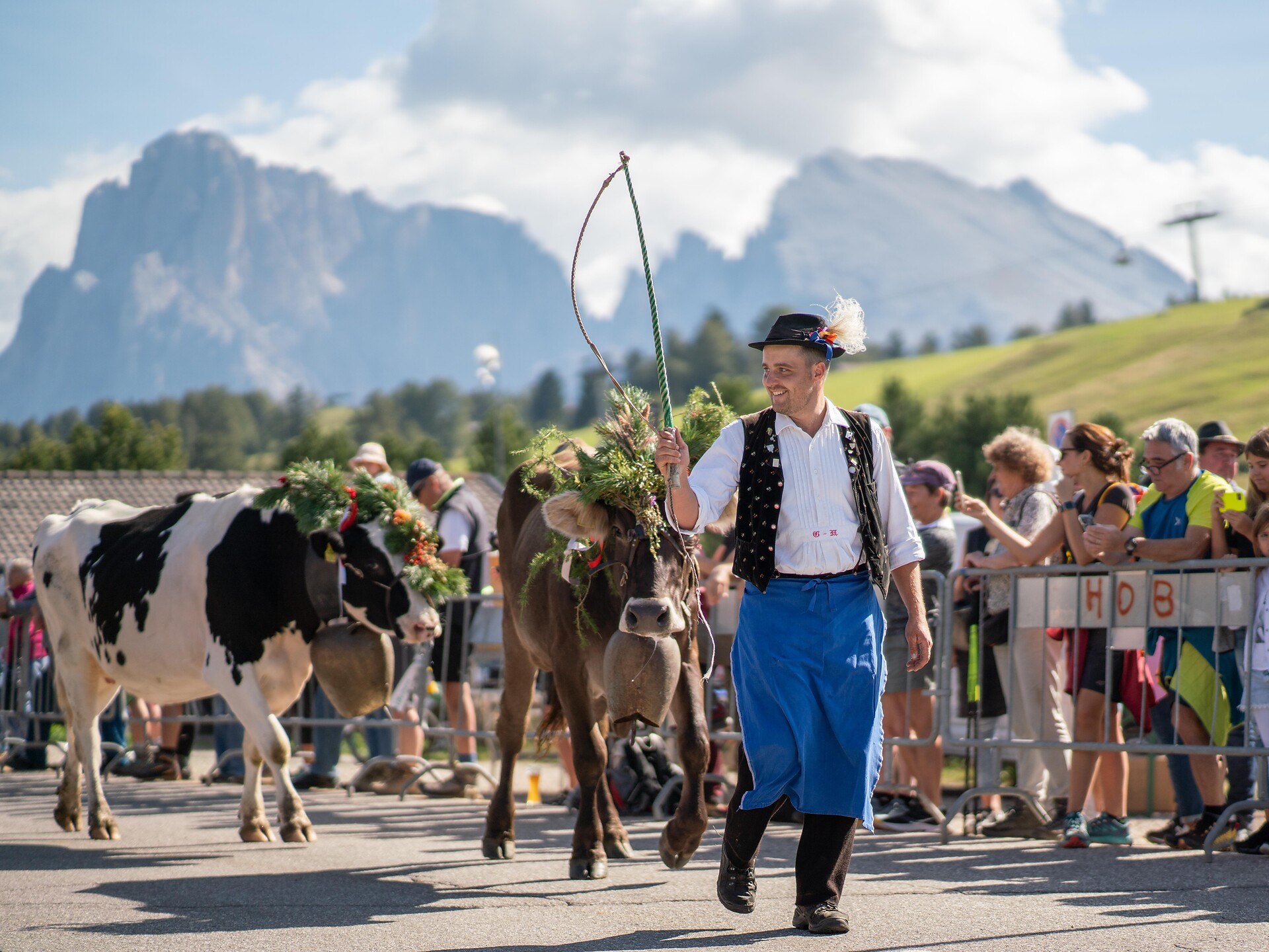 Traditional Transhumance - welcoming of the cattle - Dolomites Region Seiser Alm - #1 - suedtirol.info