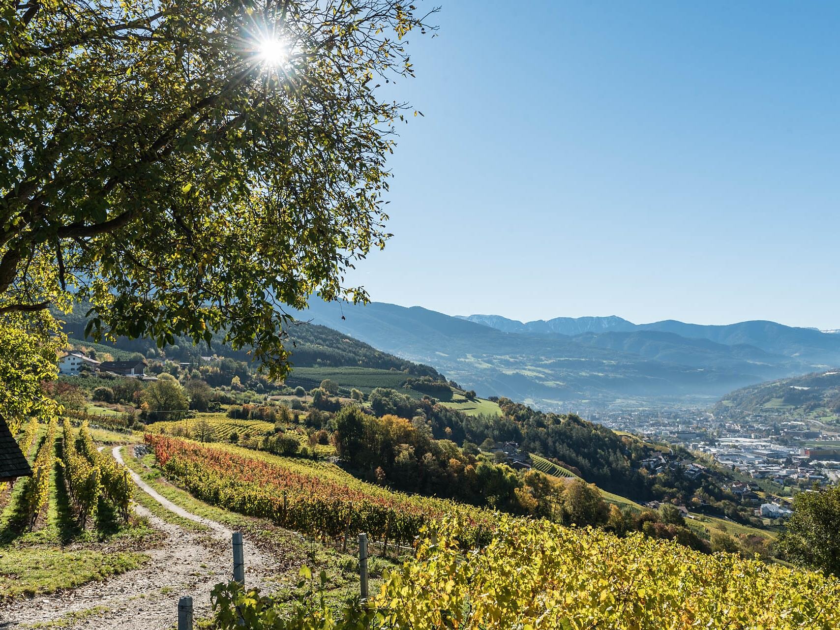 Törggelewanderung - Brixen und Umgebung - #2 - suedtirol.info