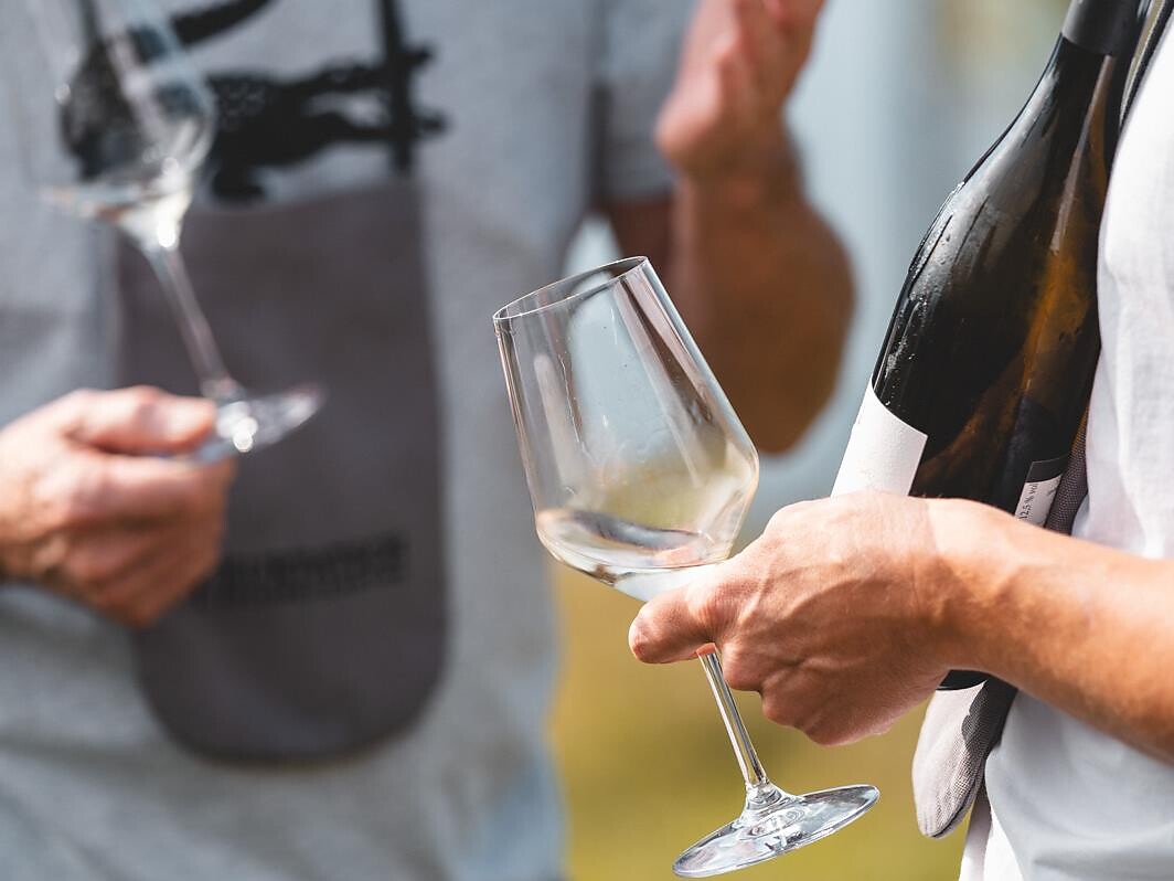 TerrAromen- Herbstwanderung durch die Weinberge von Kurtatsch - Südtiroler Weinstraße - #2 - suedtirol.info