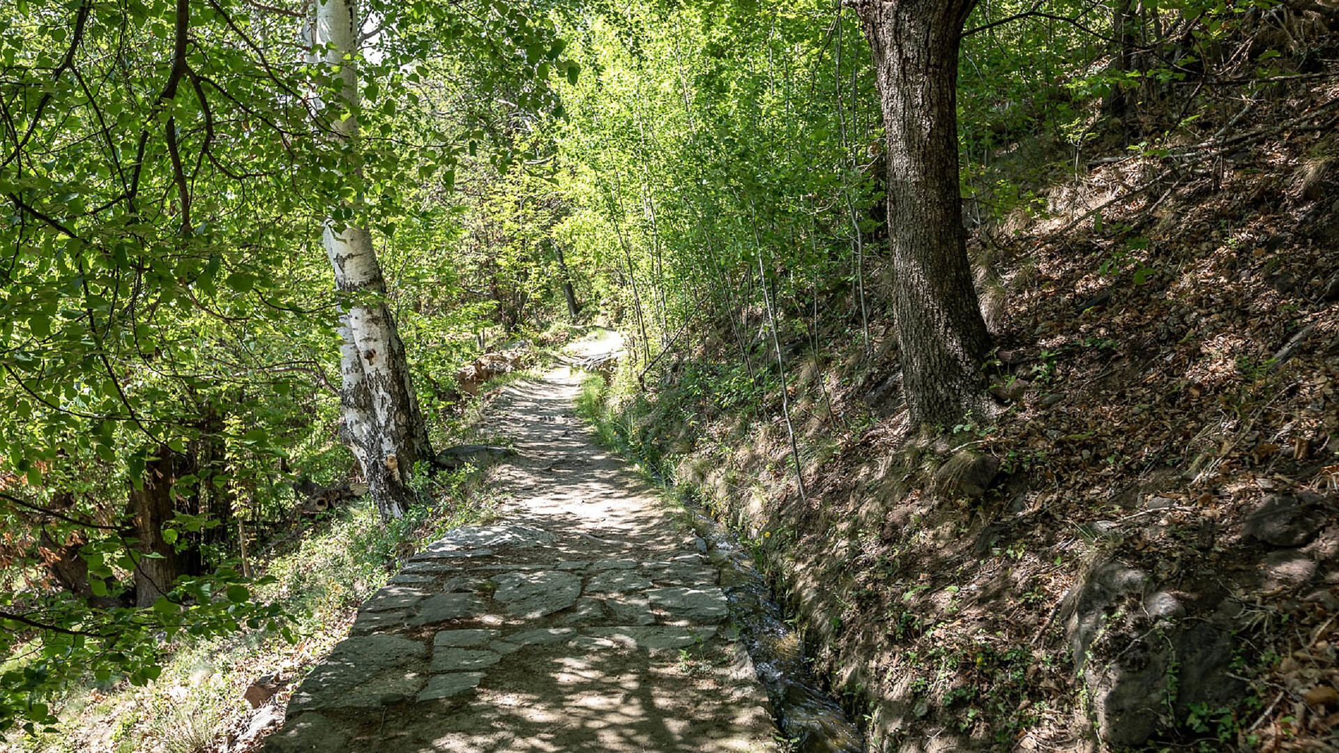 Thermal water hiking tour on the Juval castle hill - Meran/Merano and environs - #3 - suedtirol.info