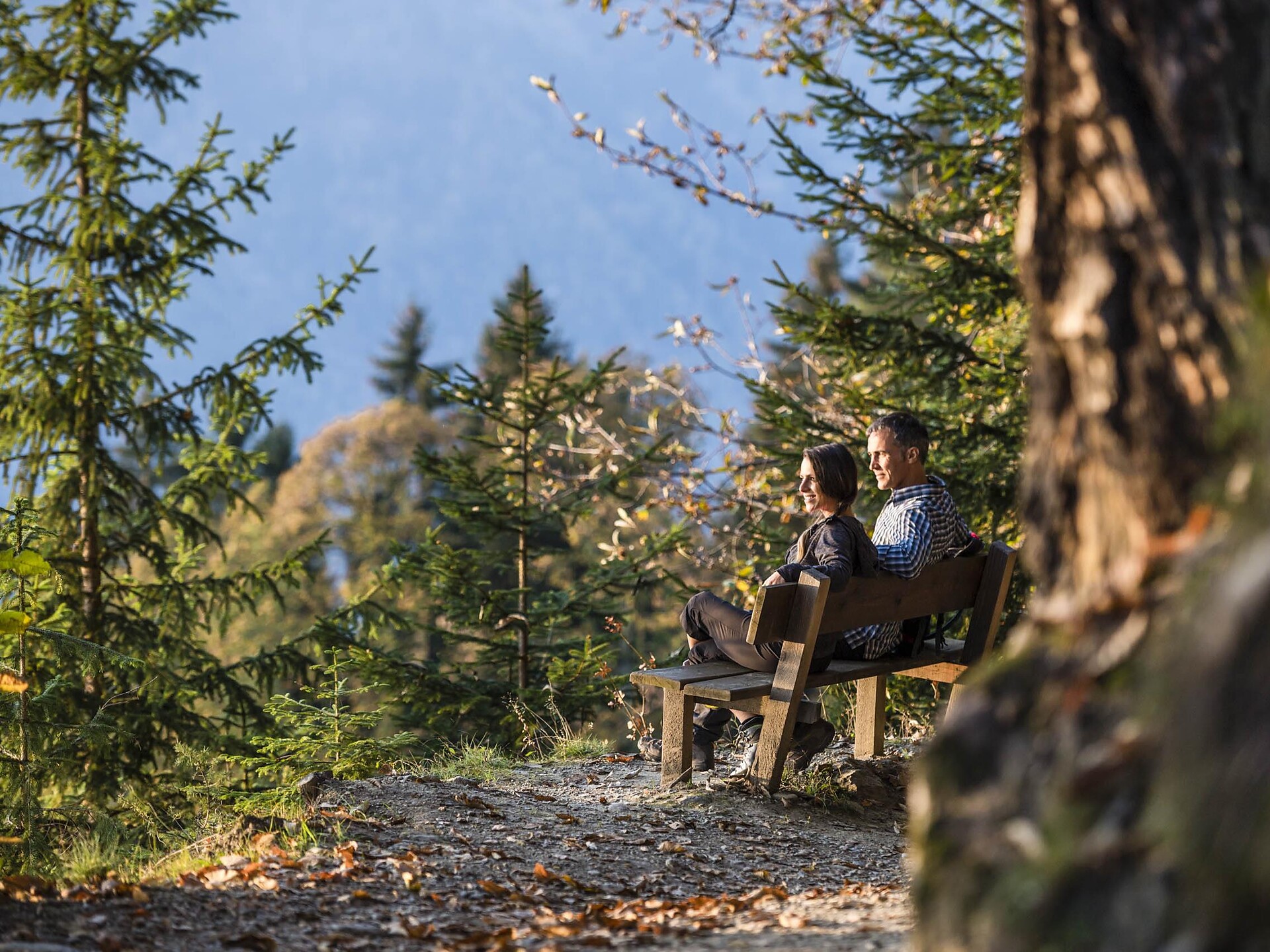 Guided "Törggele"-hike: discovering an ancient South Tyrolean tradition Schenna/Scena 1 suedtirol.info