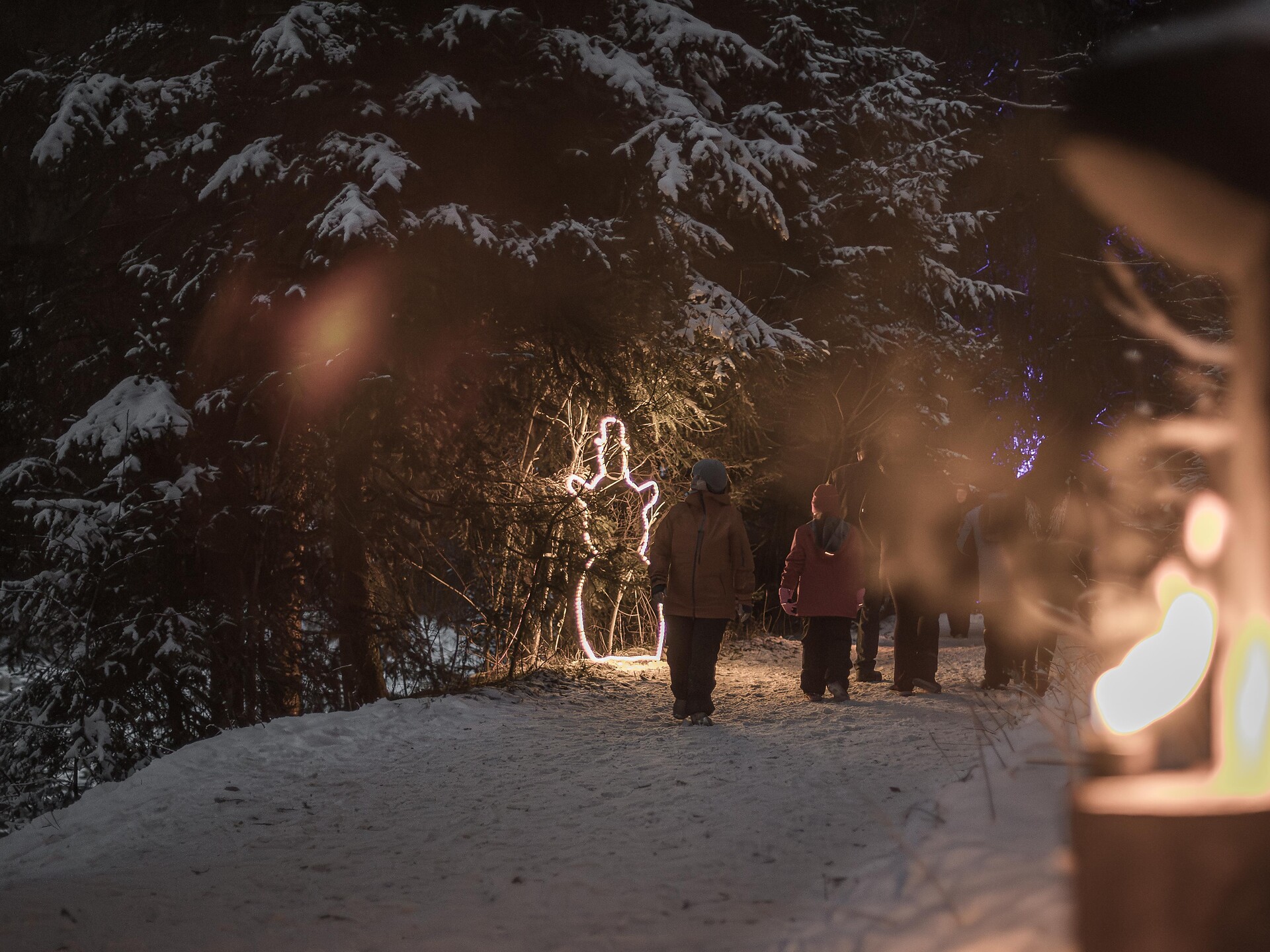 Taufrer Advent: Weihnachtszauberwald am Reinbach-Wasserfall - Ahrntal - #2 - suedtirol.info
