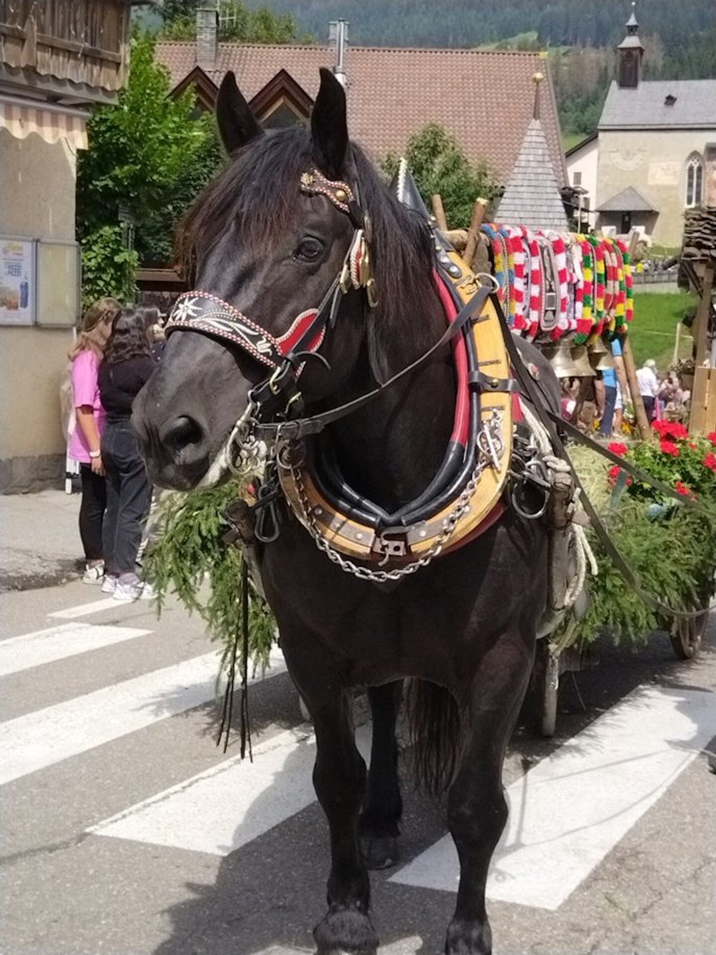 Town celebration in Tesido -  - #2 - suedtirol.info