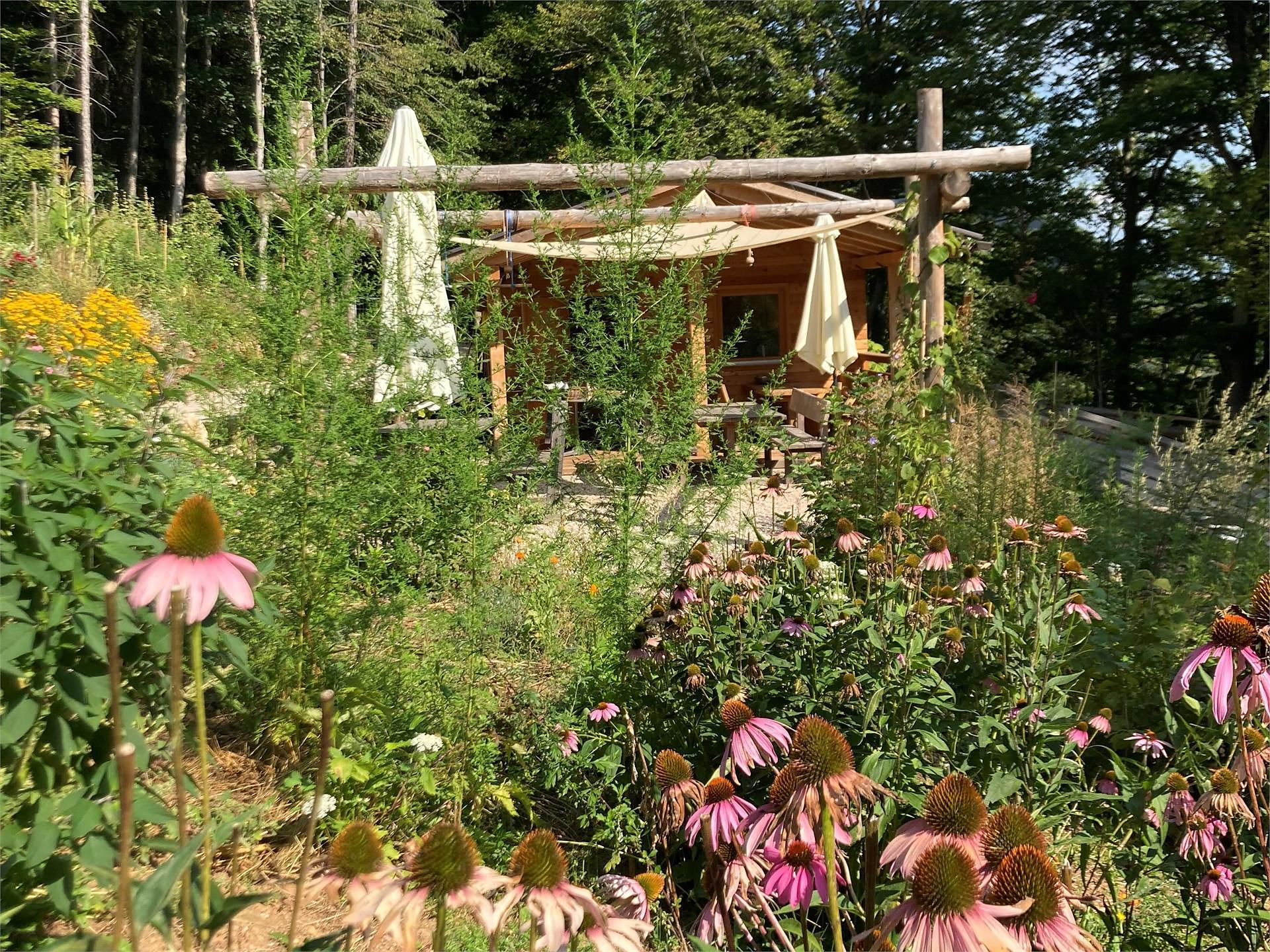 Tag der offenen Tür im Kräutergarten Zoggler - Südtiroler Weinstraße - #1 - suedtirol.info