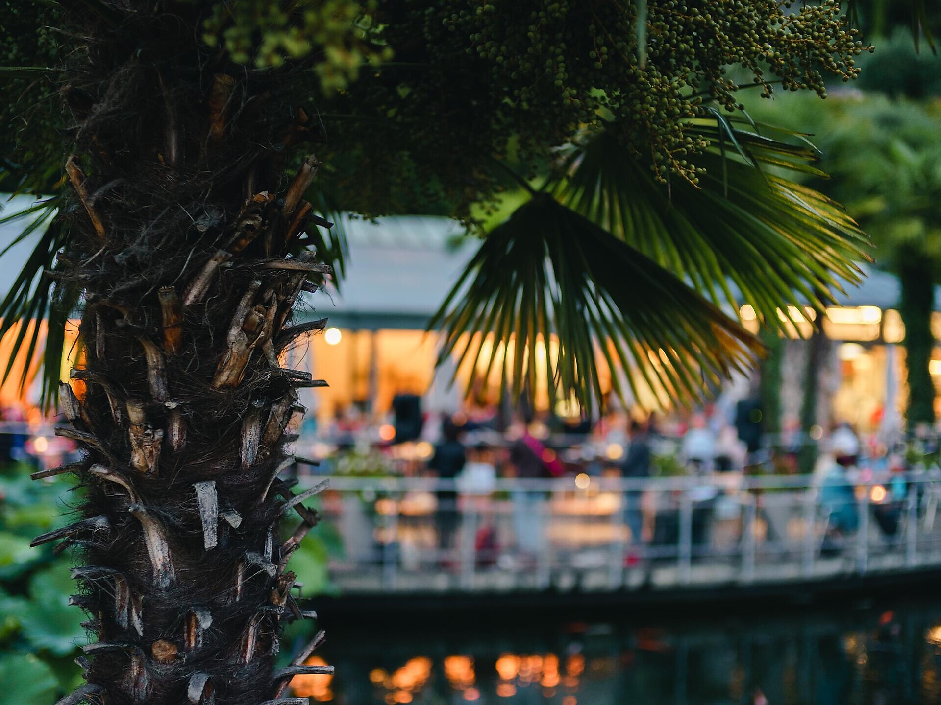 Trauttmansdorff nach Feierabend - Meran und Umgebung - #1 - suedtirol.info