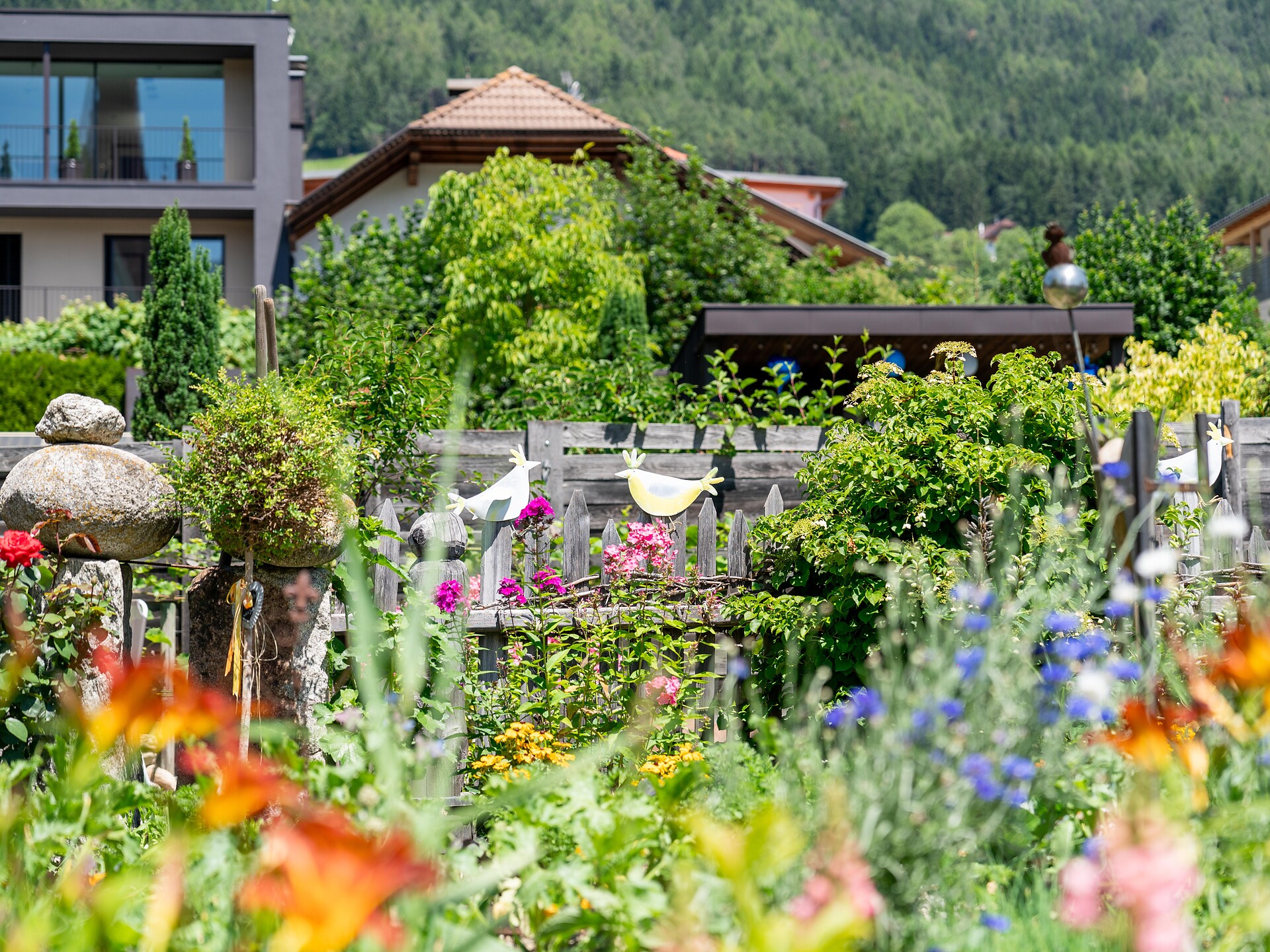 Giardini aperti - Regione dolomitica Plan de Corones - #2 - suedtirol.info