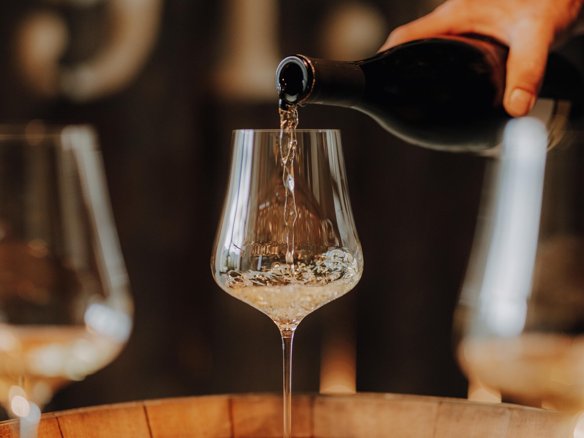 Il piacere del vino - Merano e dintorni - #1 - suedtirol.info