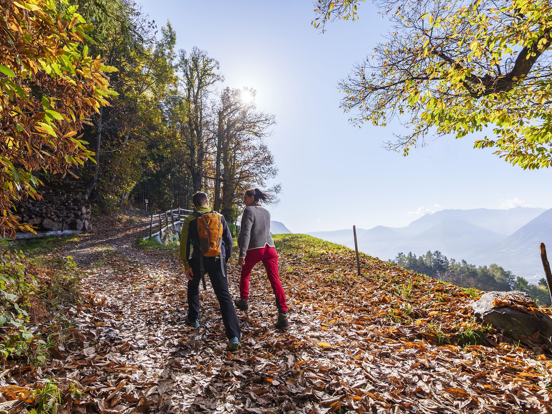 Guided "Törggele"-hike: discovering an ancient South Tyrolean tradition Schenna/Scena 1 suedtirol.info