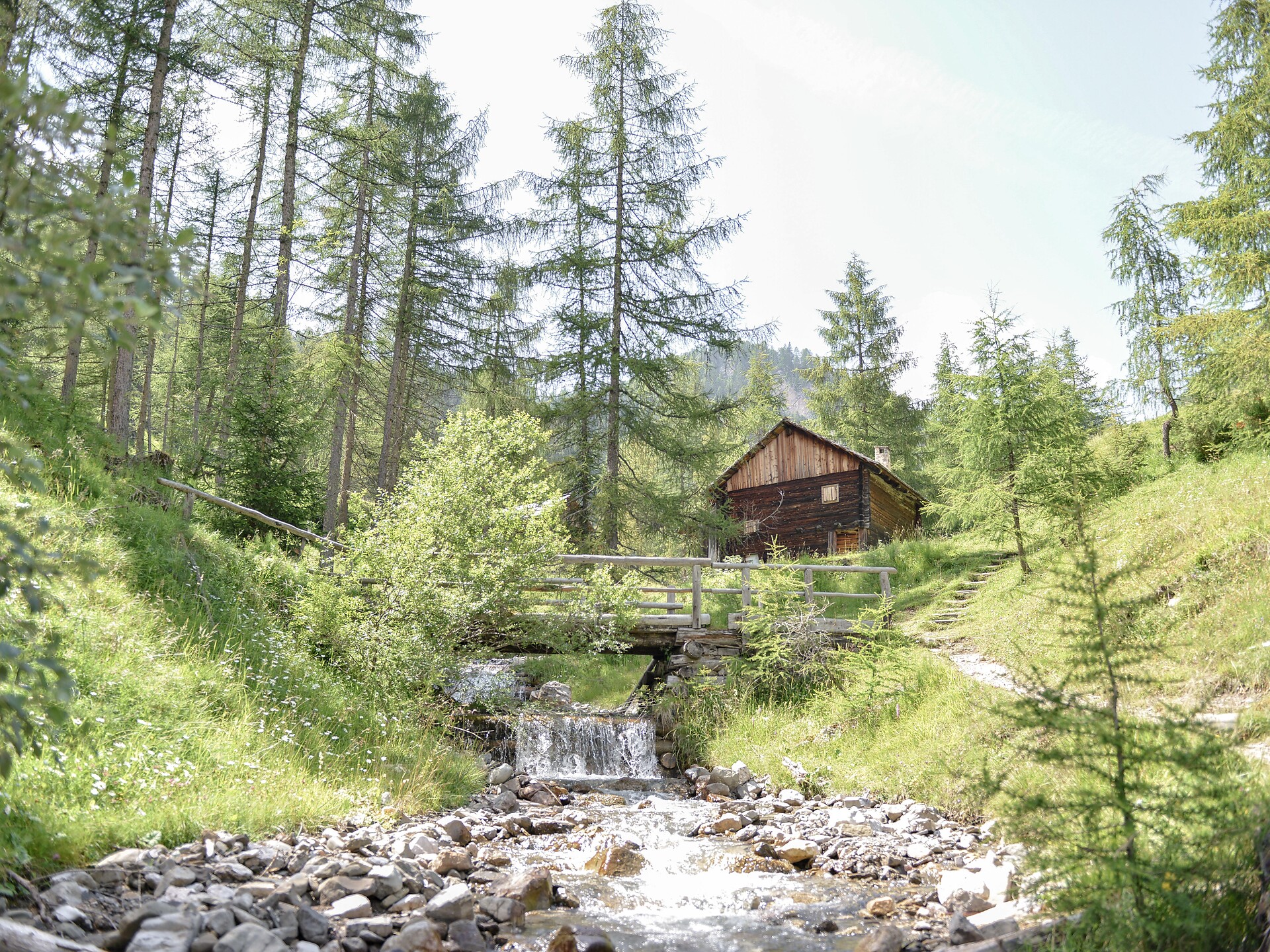 Mill day - farmers' market - Dolomites Region Kronplatz/Plan de Corones - #1 - suedtirol.info