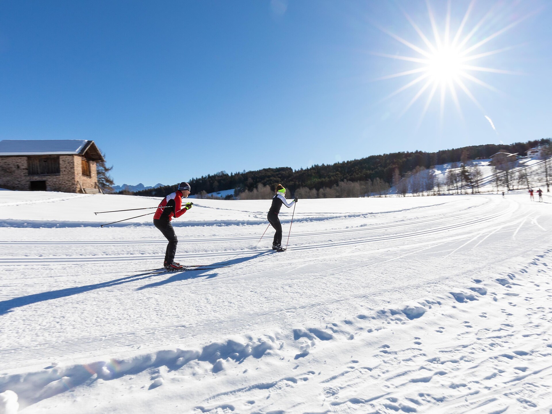 Daily Ticket for Cross-Country Ski Trails a Nova Ponente - Dolomites Region Eggental - #1 - suedtirol.info