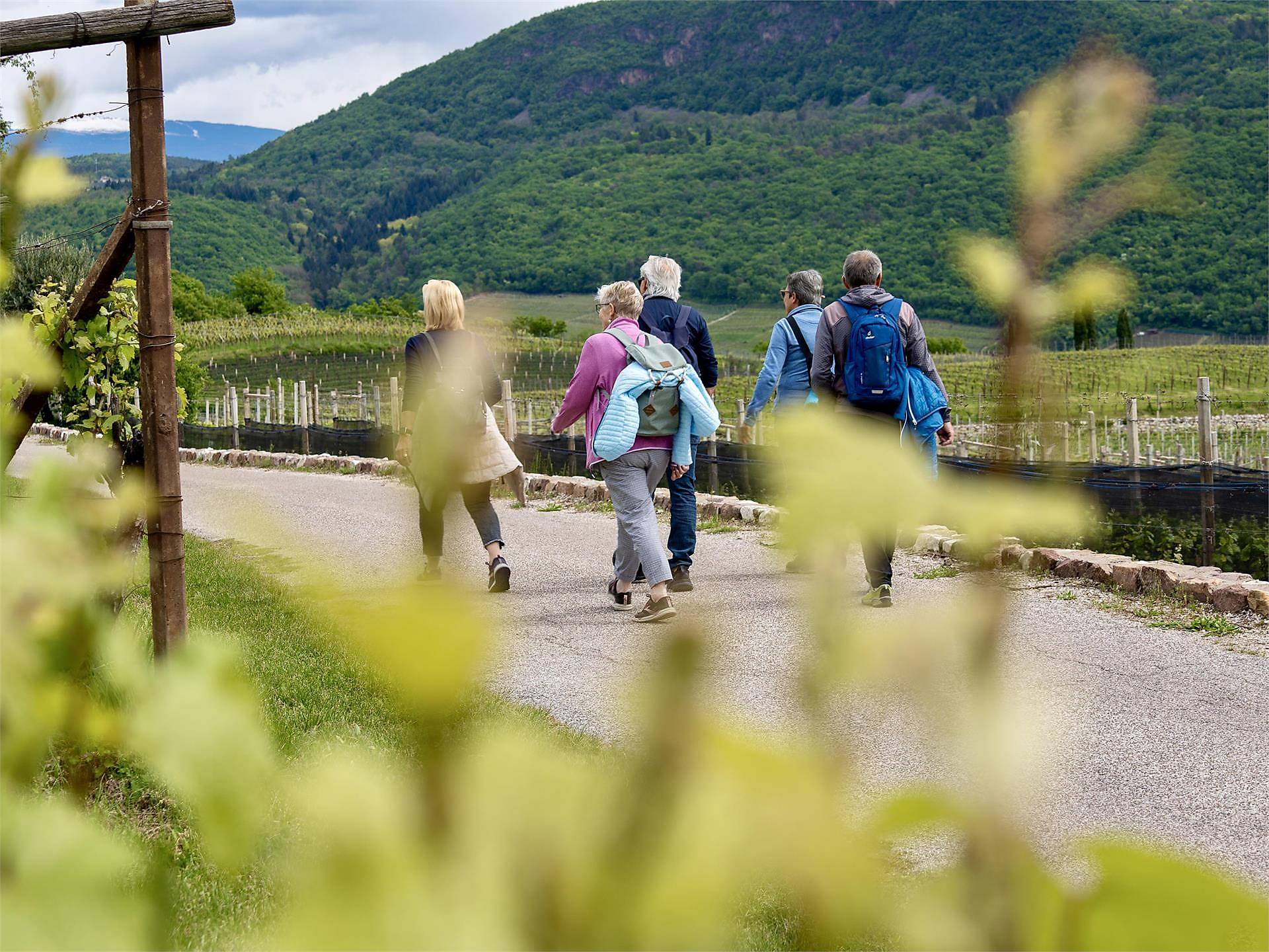 Törggelewanderung zum Kalterer See mit Wein & Kulinarik 2025 Kaltern an der Weinstraße 1 suedtirol.info